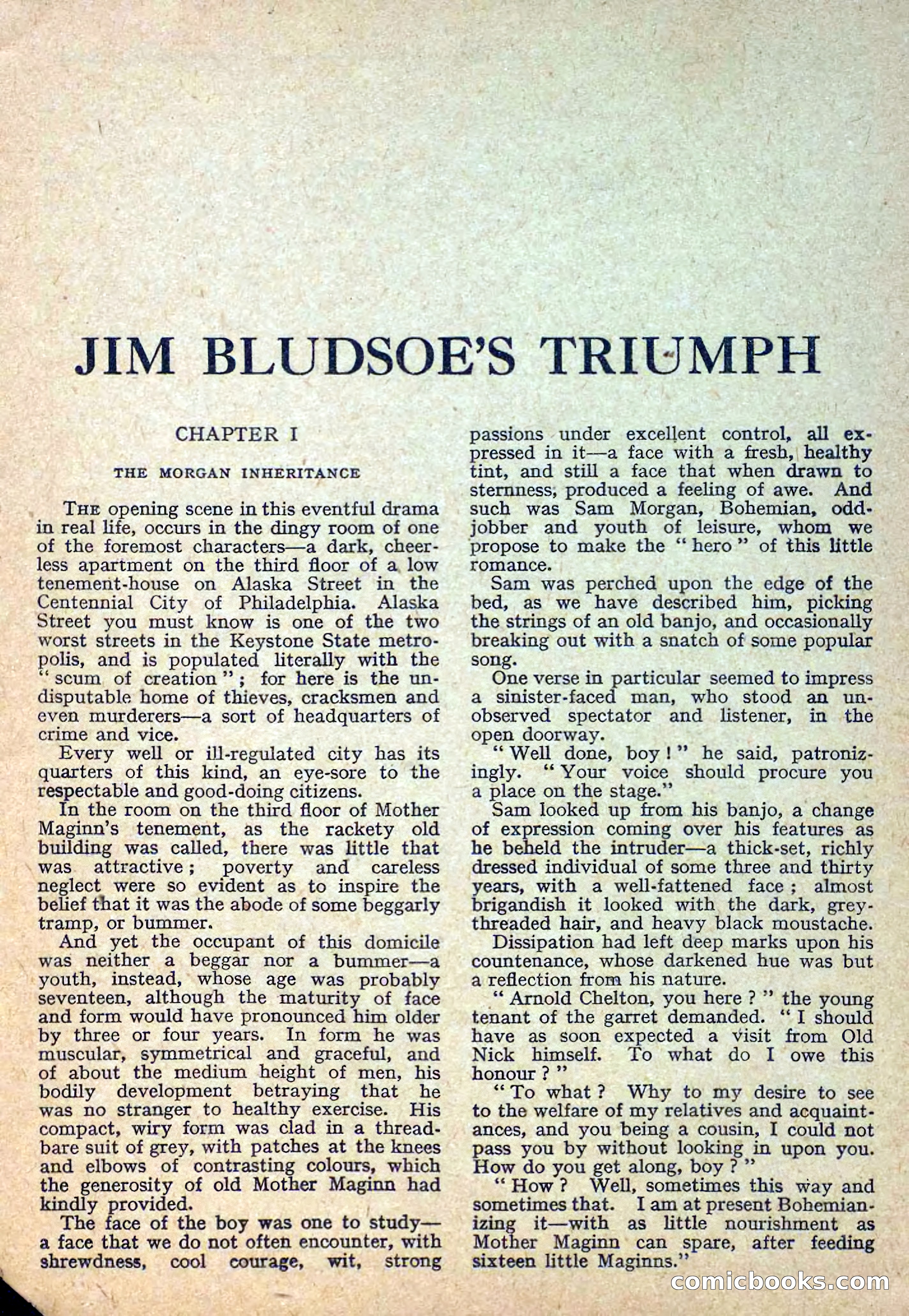 Deadwood Dick Library No. 11 — page 3 of 36