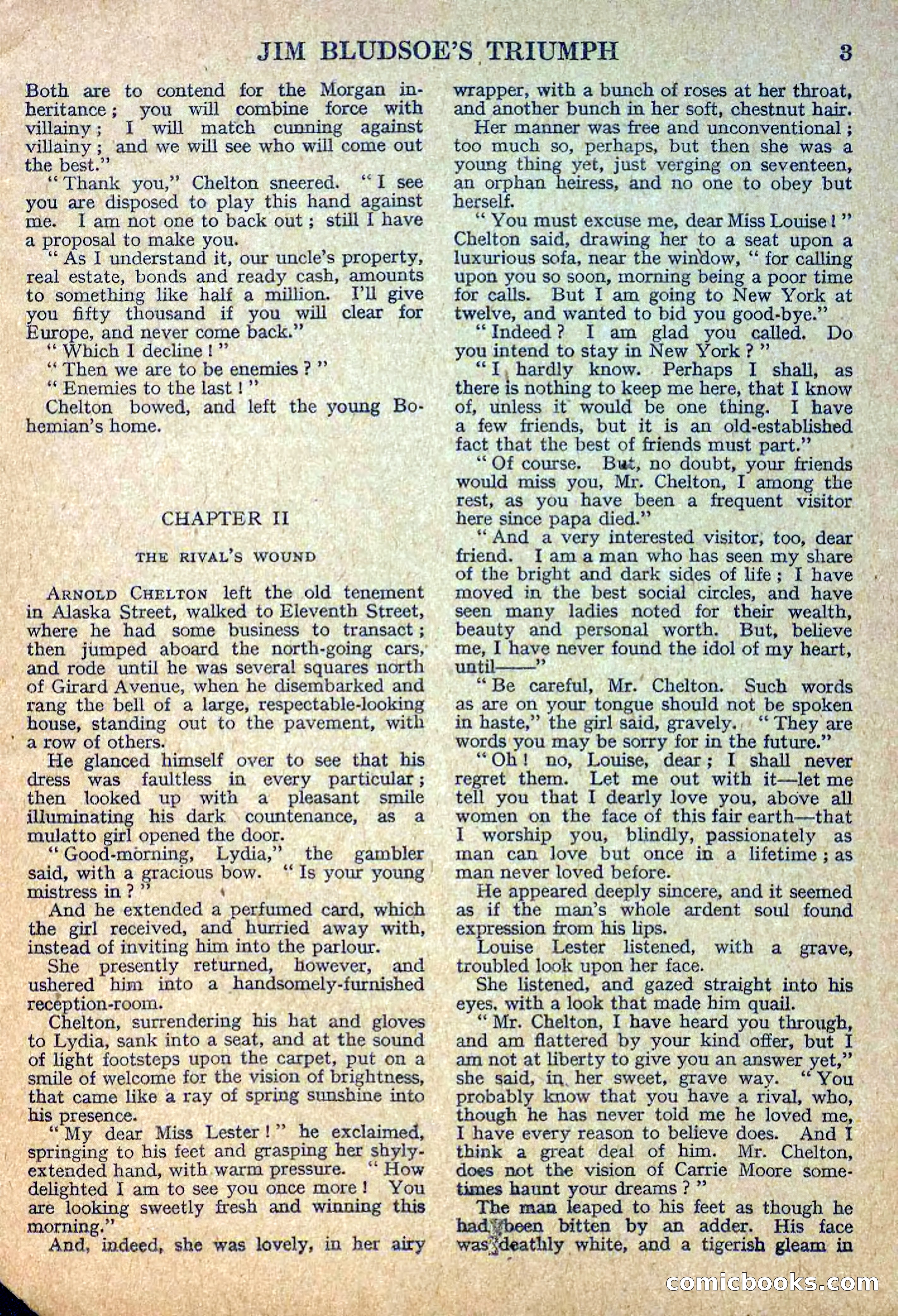 Deadwood Dick Library No. 11 — page 5 of 36