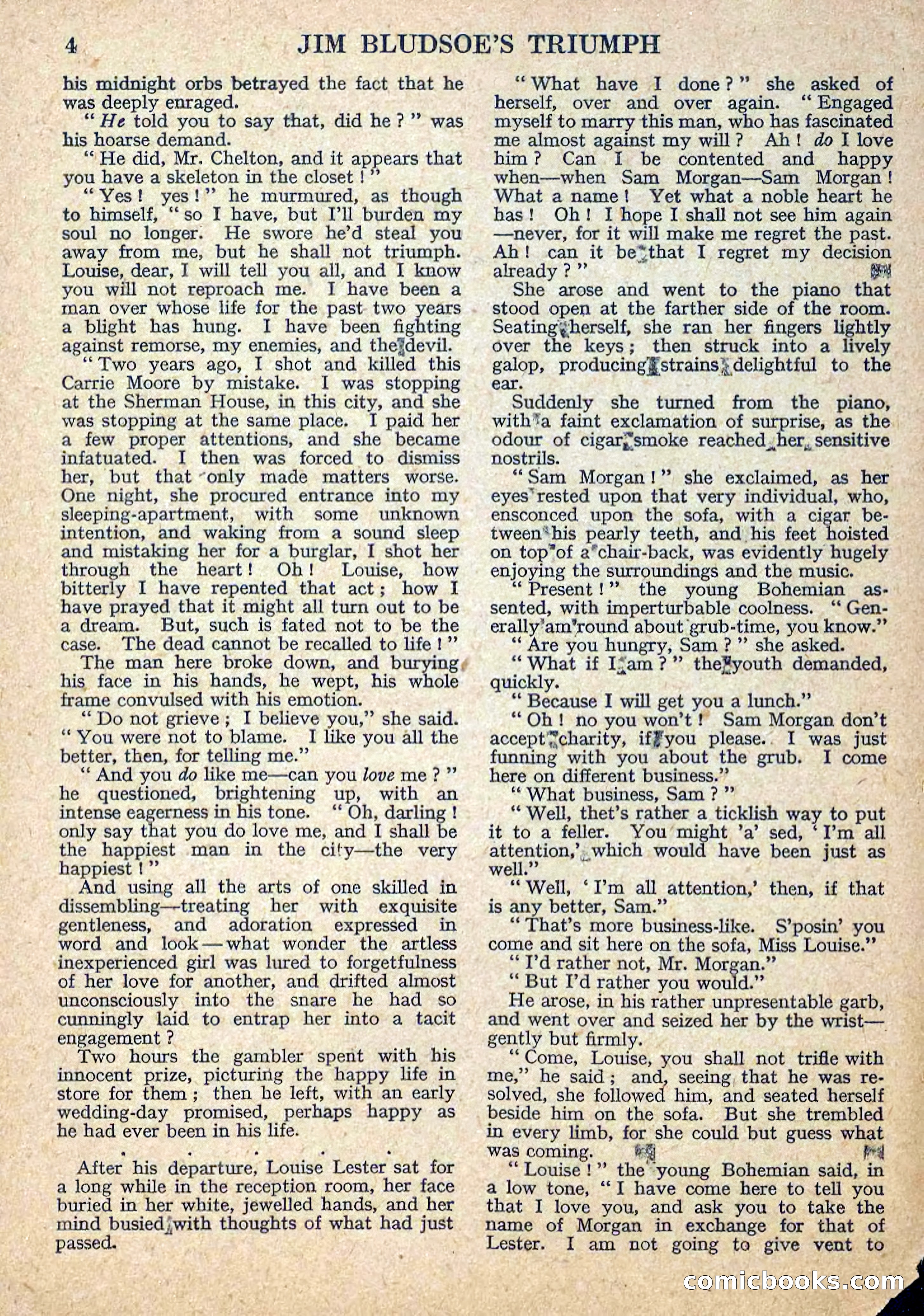 Deadwood Dick Library No. 11 — page 6 of 36