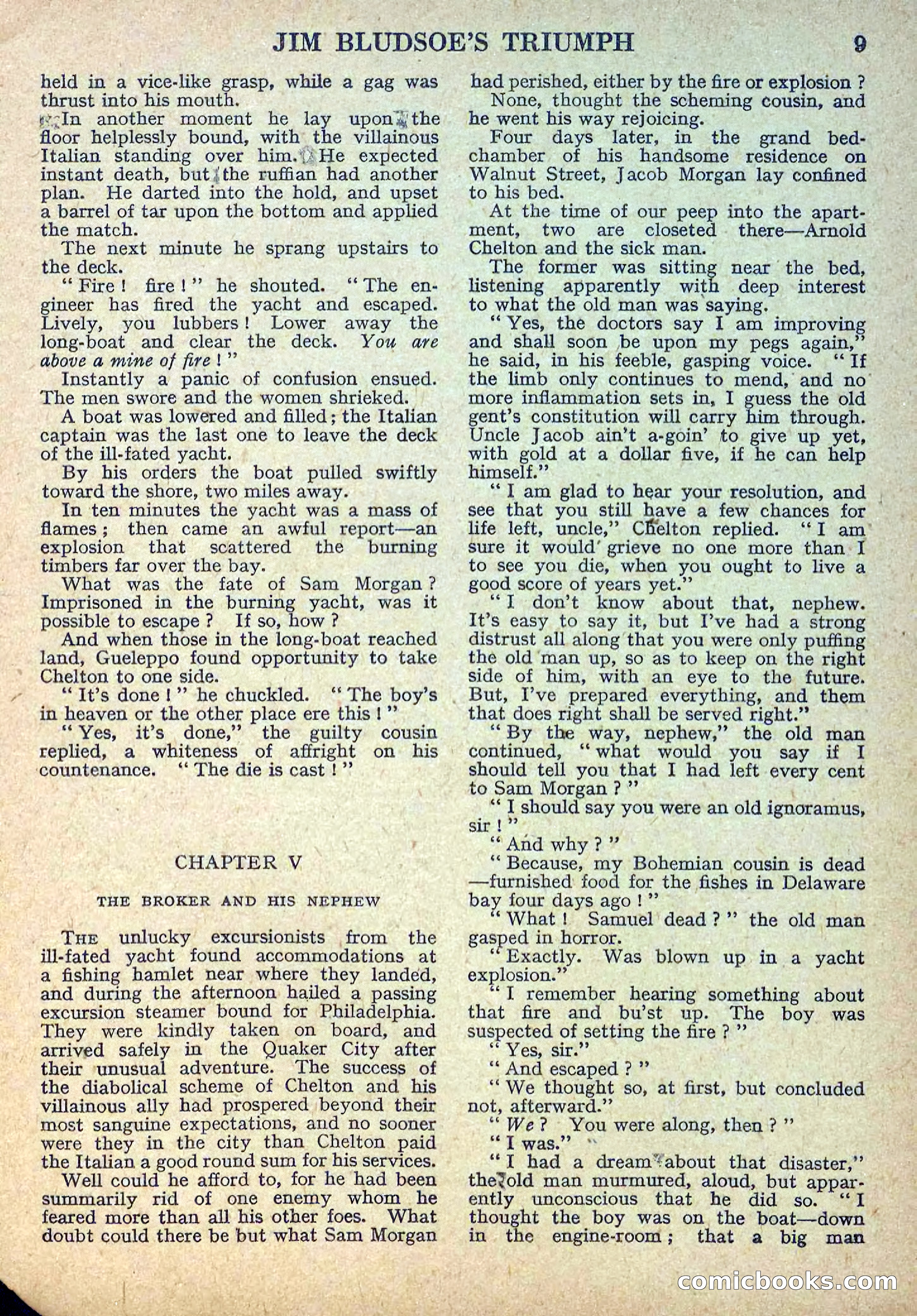 Deadwood Dick Library No. 11 — page 11 of 36