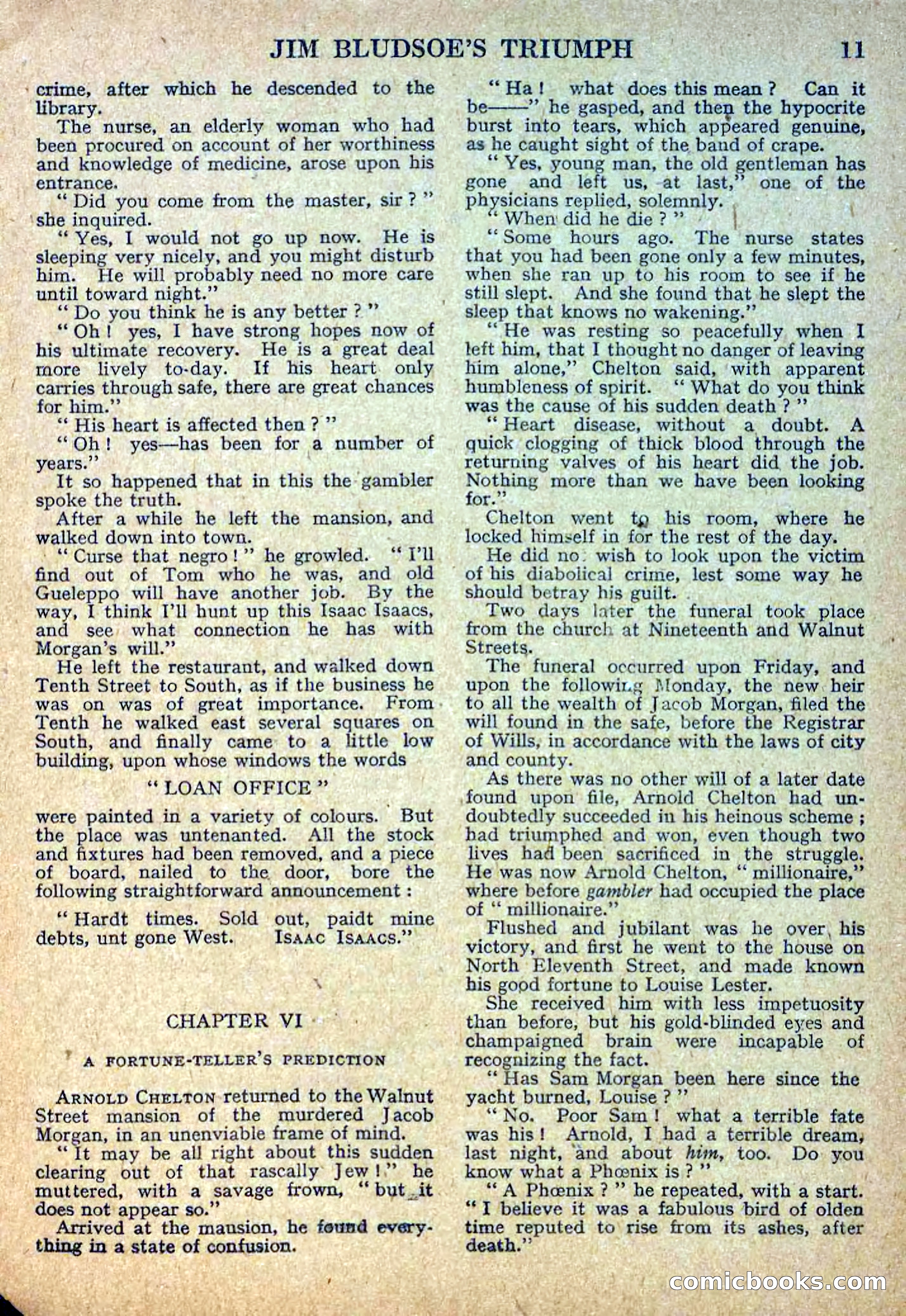Deadwood Dick Library No. 11 — page 13 of 36