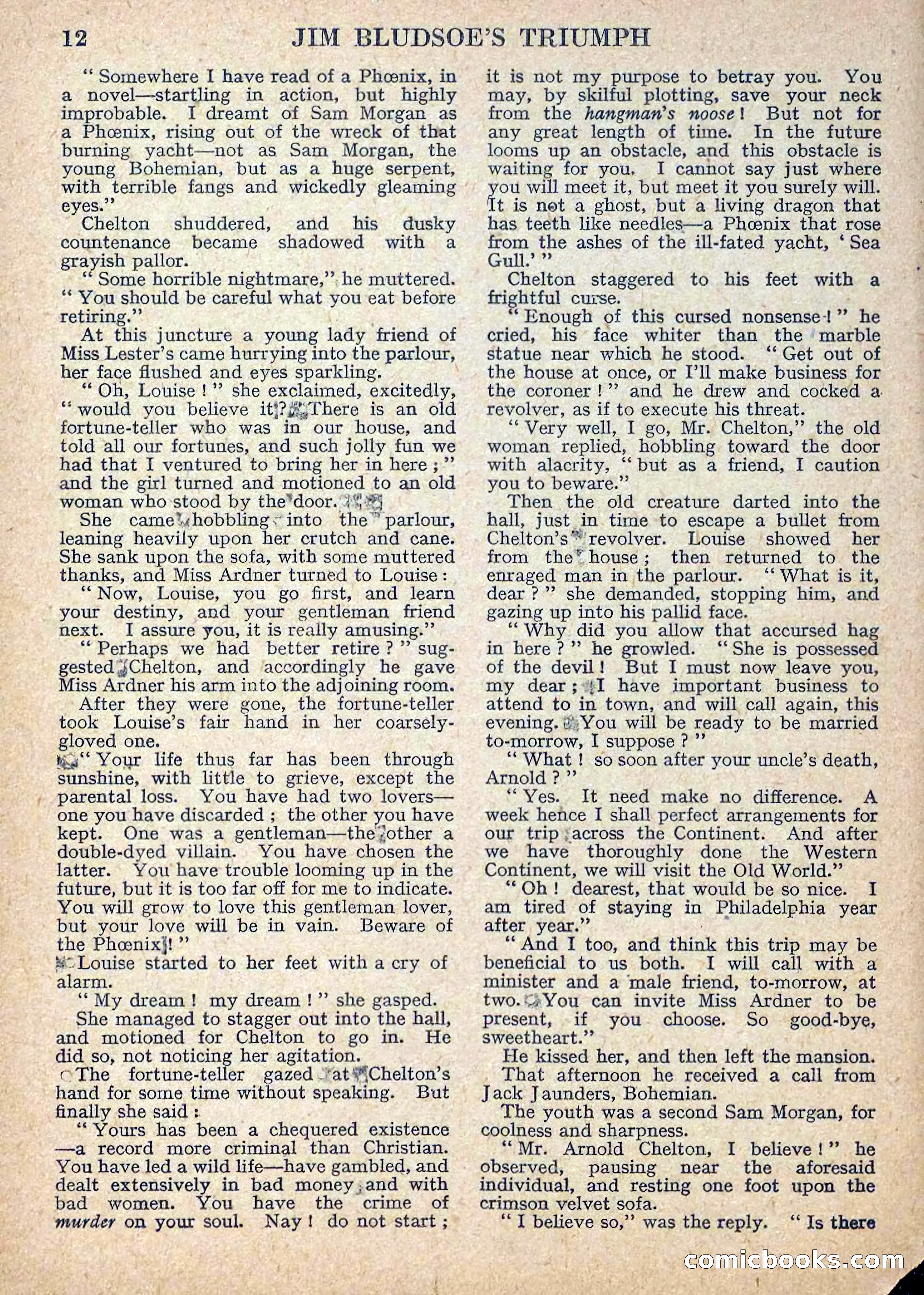 Deadwood Dick Library No. 11 — page 14 of 36