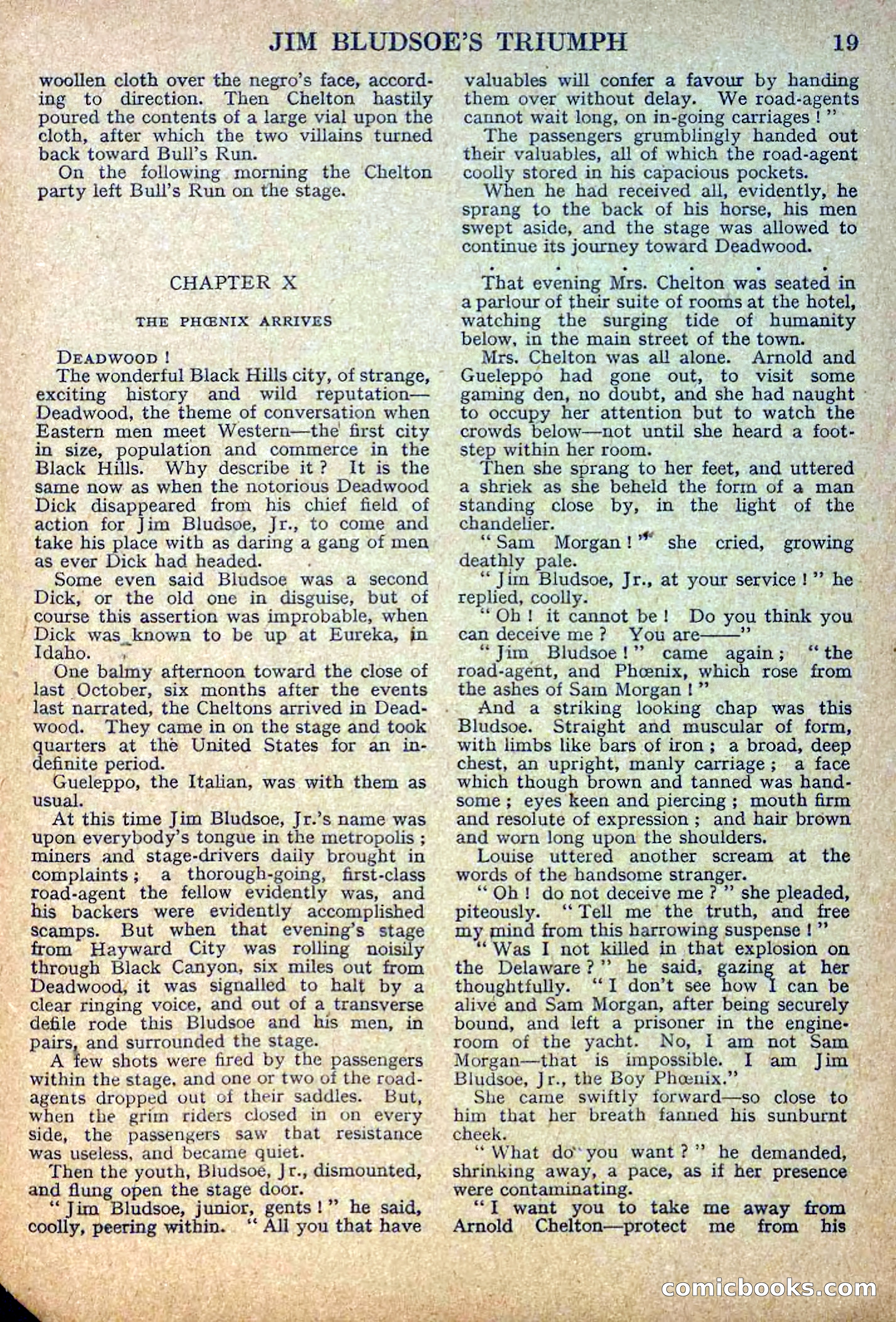 Deadwood Dick Library No. 11 — page 21 of 36