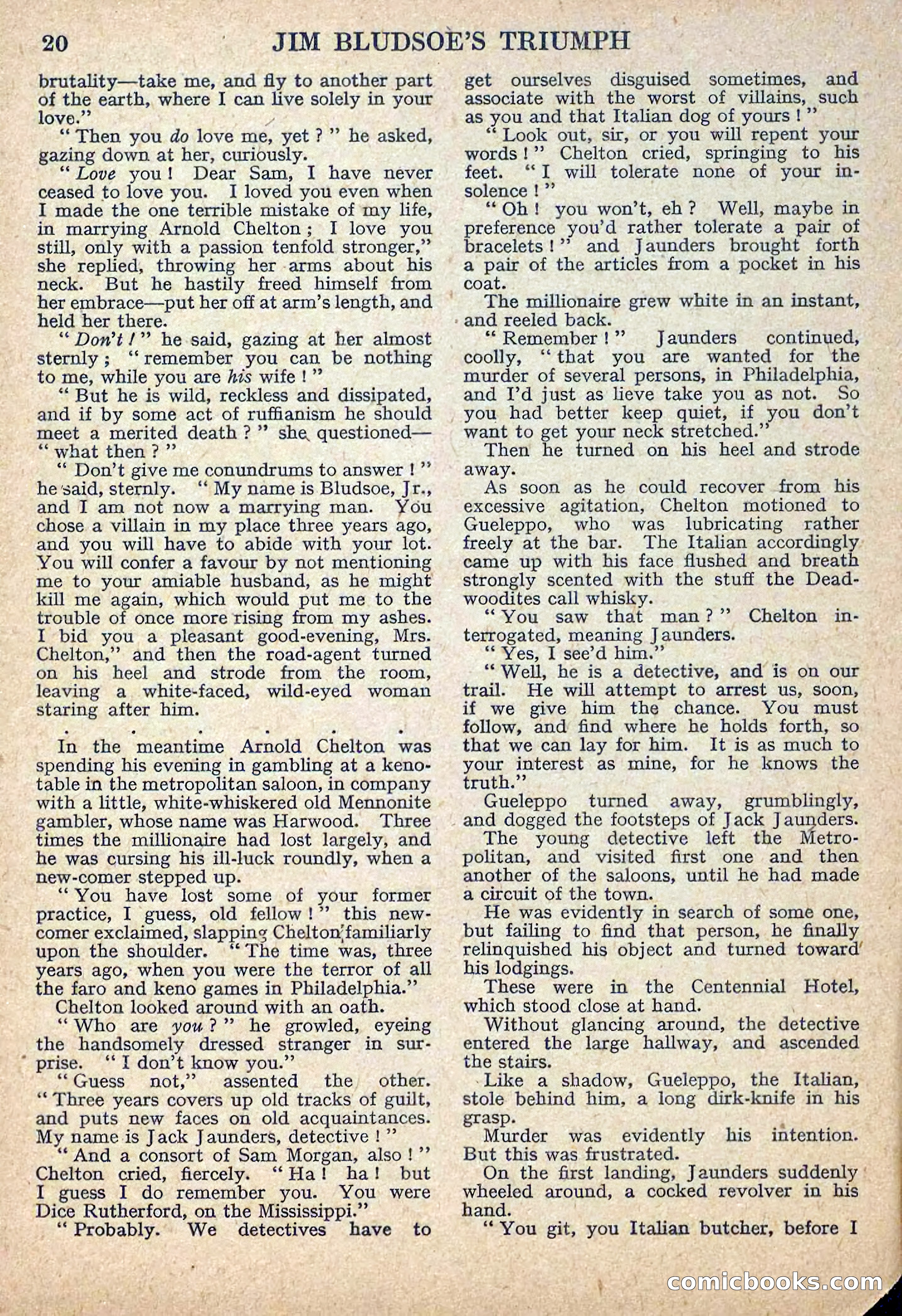 Deadwood Dick Library No. 11 — page 22 of 36