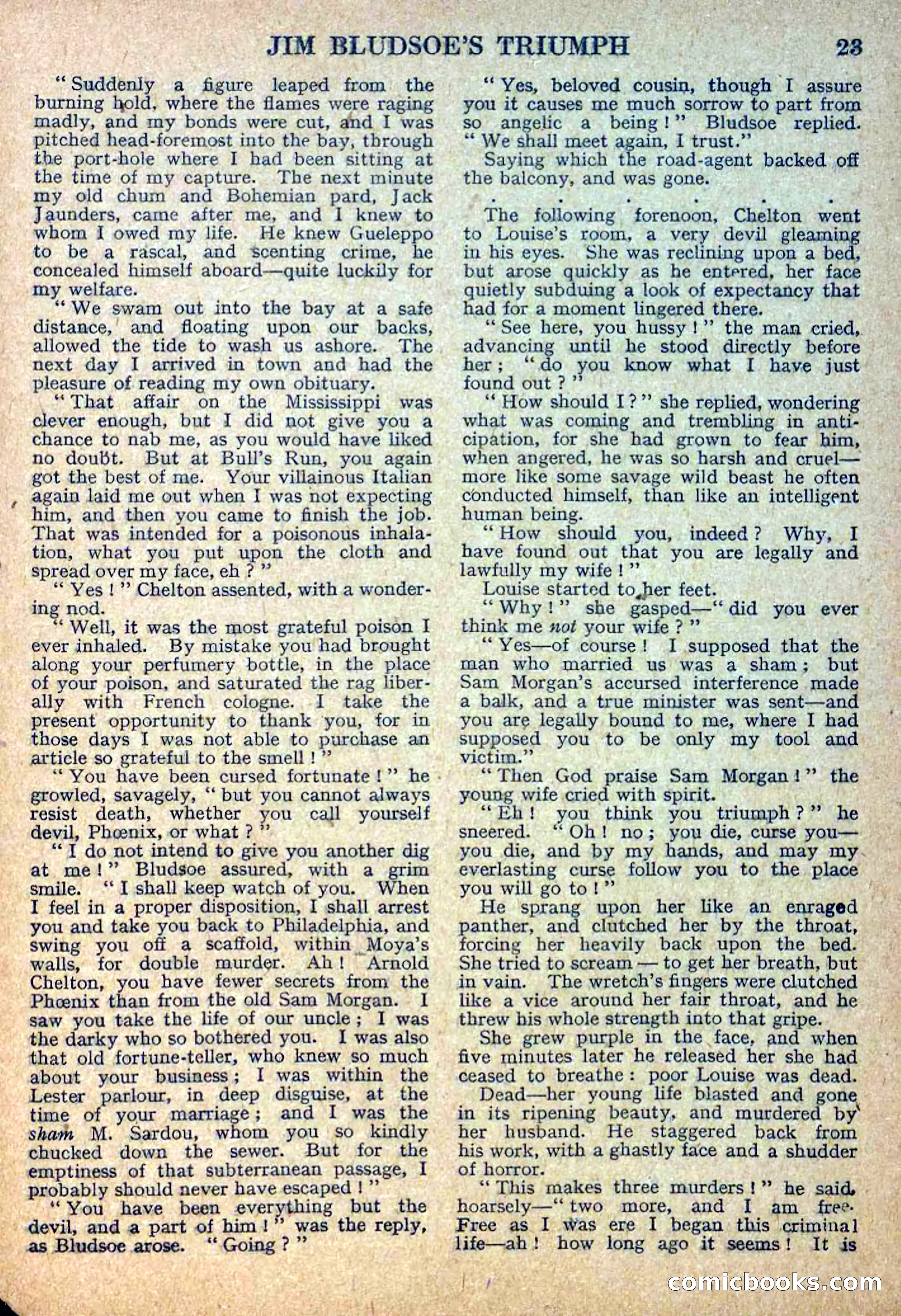 Deadwood Dick Library No. 11 — page 25 of 36