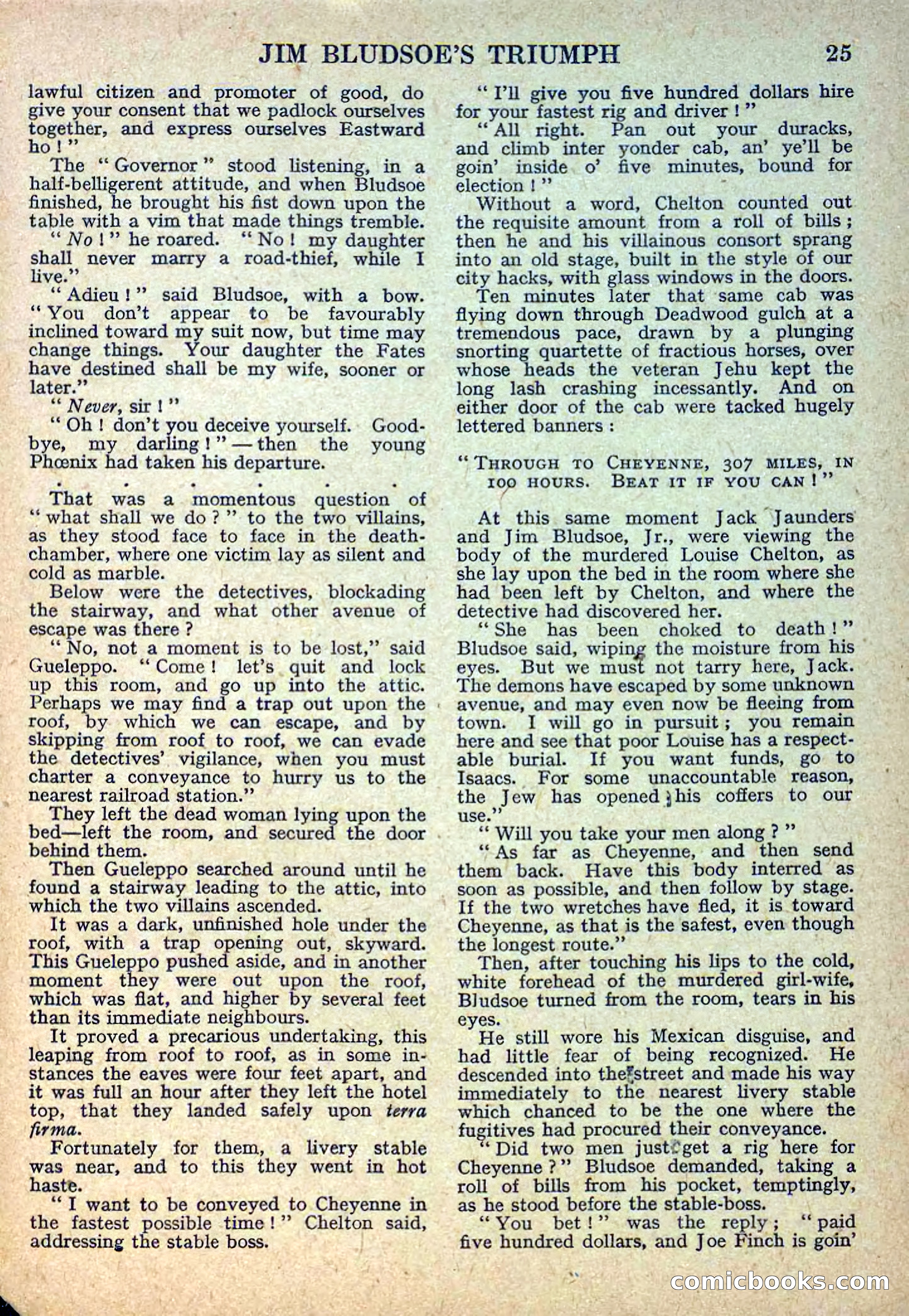 Deadwood Dick Library No. 11 — page 27 of 36
