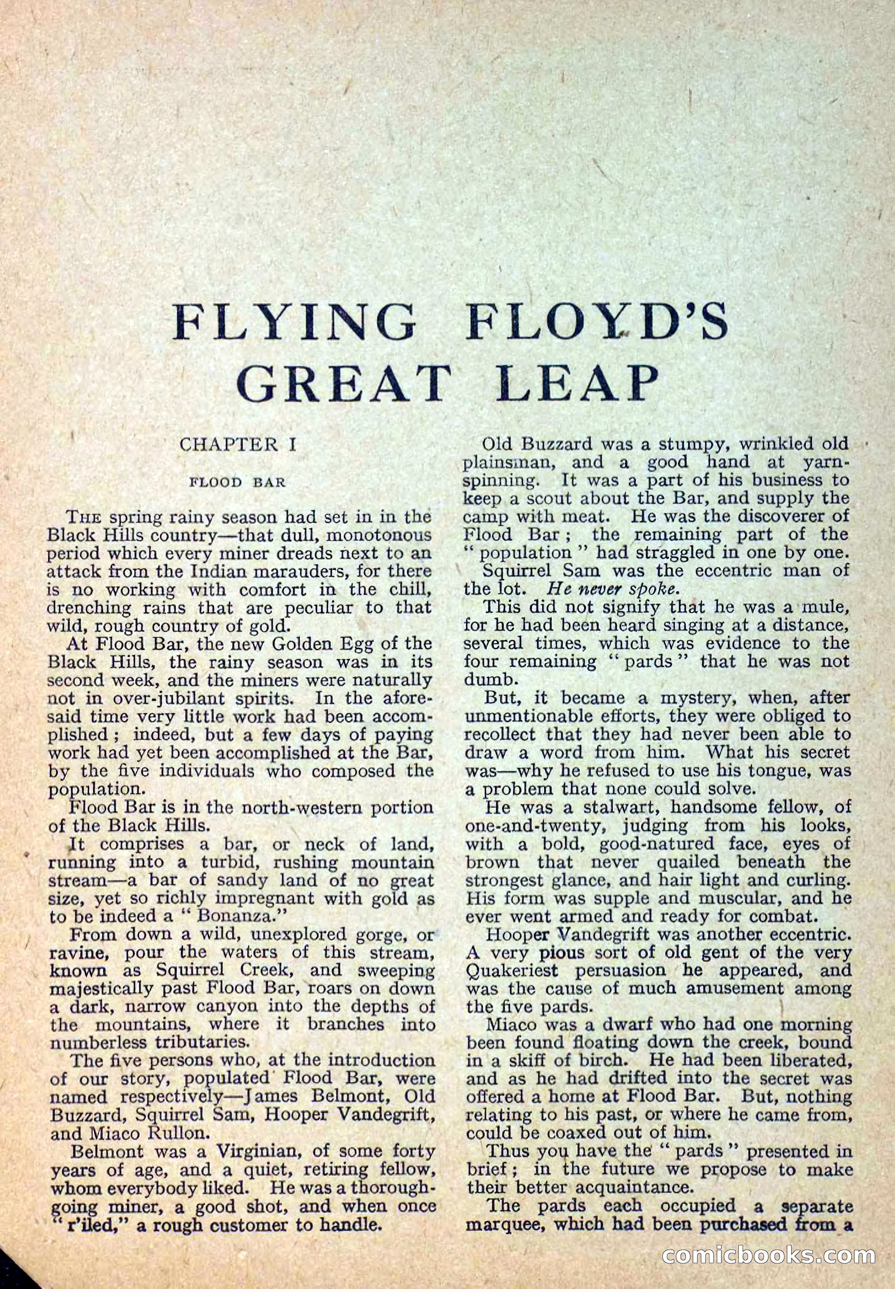 Deadwood Dick Library No. 12 — page 3 of 36