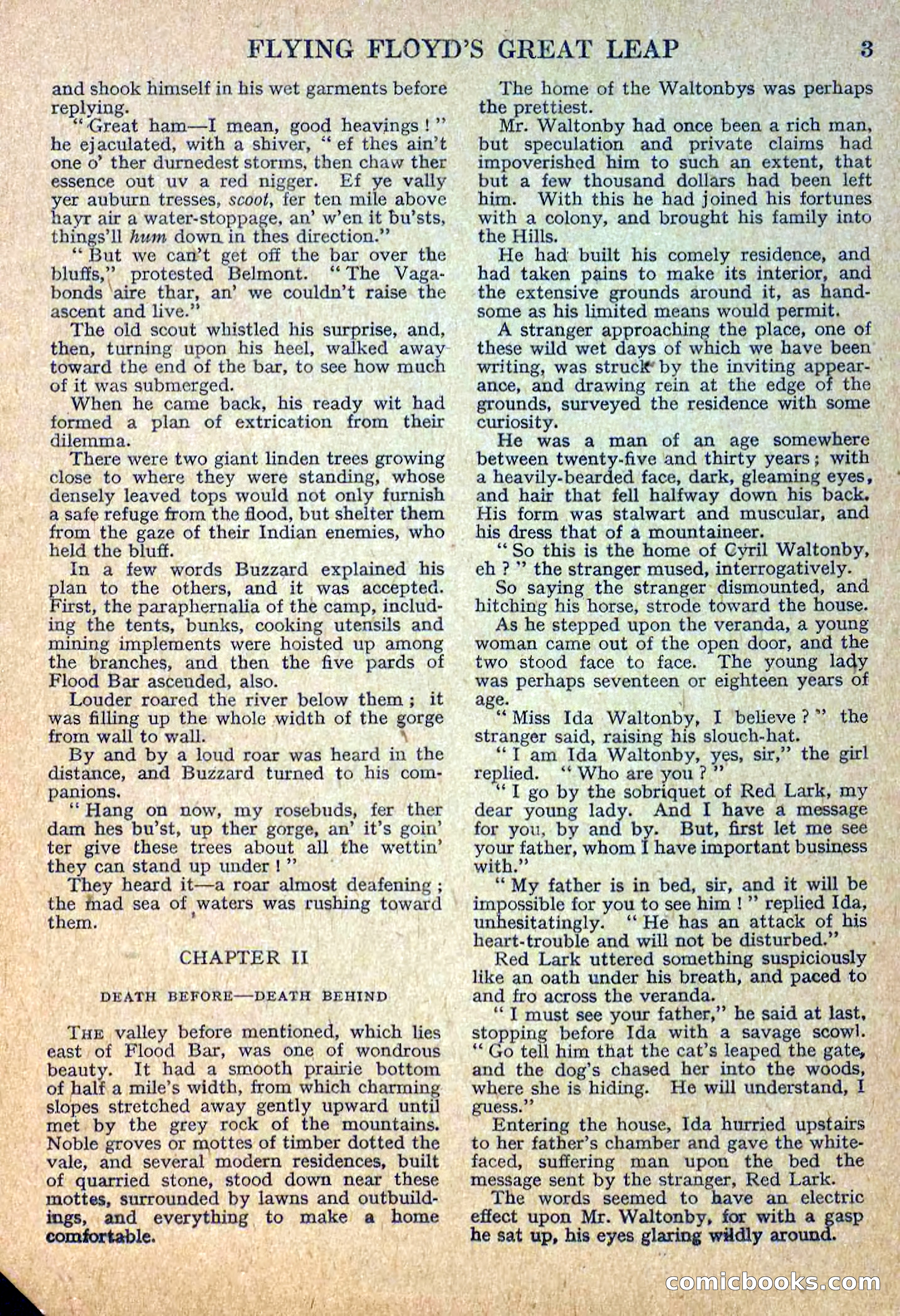 Deadwood Dick Library No. 12 — page 5 of 36