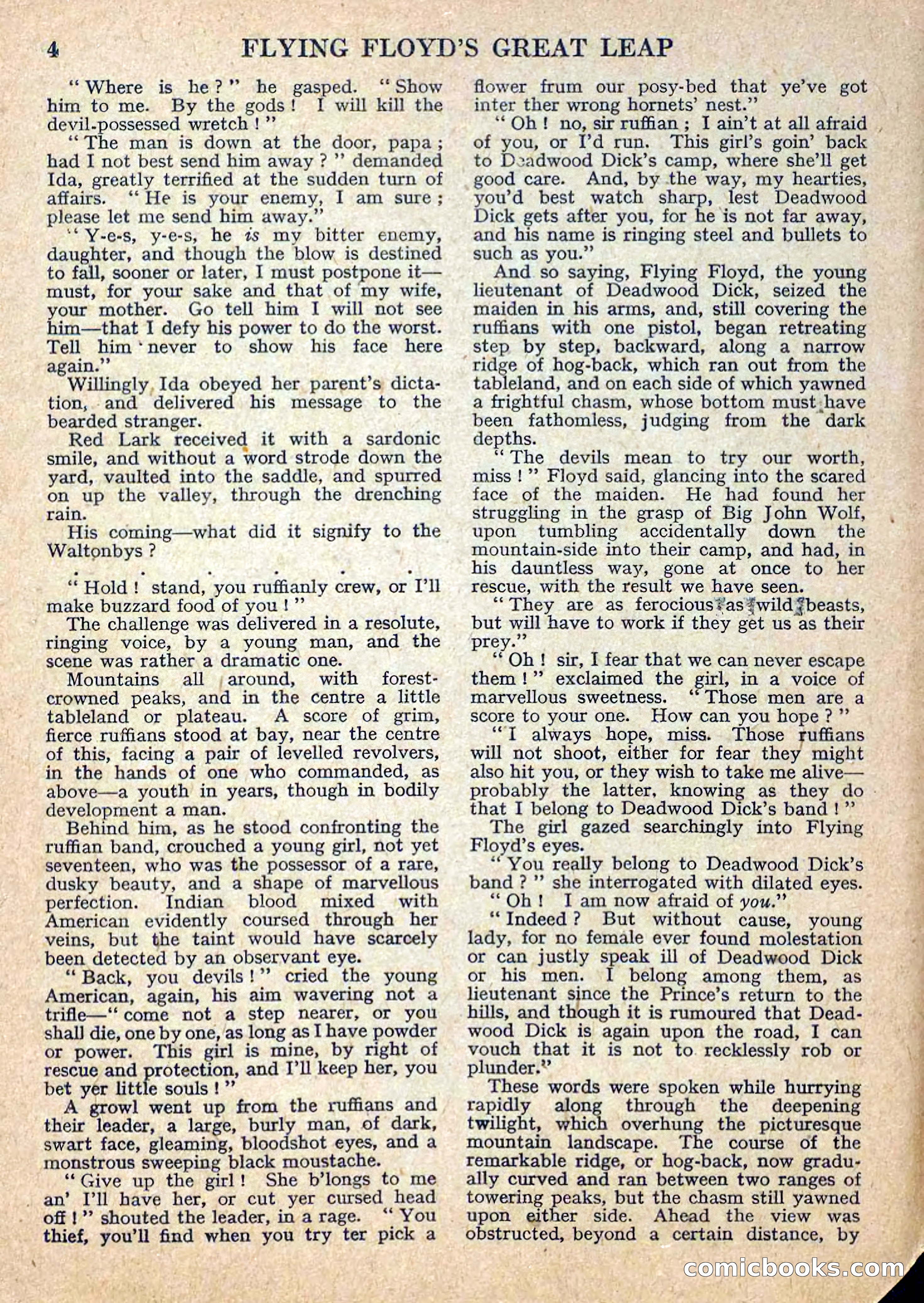 Deadwood Dick Library No. 12 — page 6 of 36