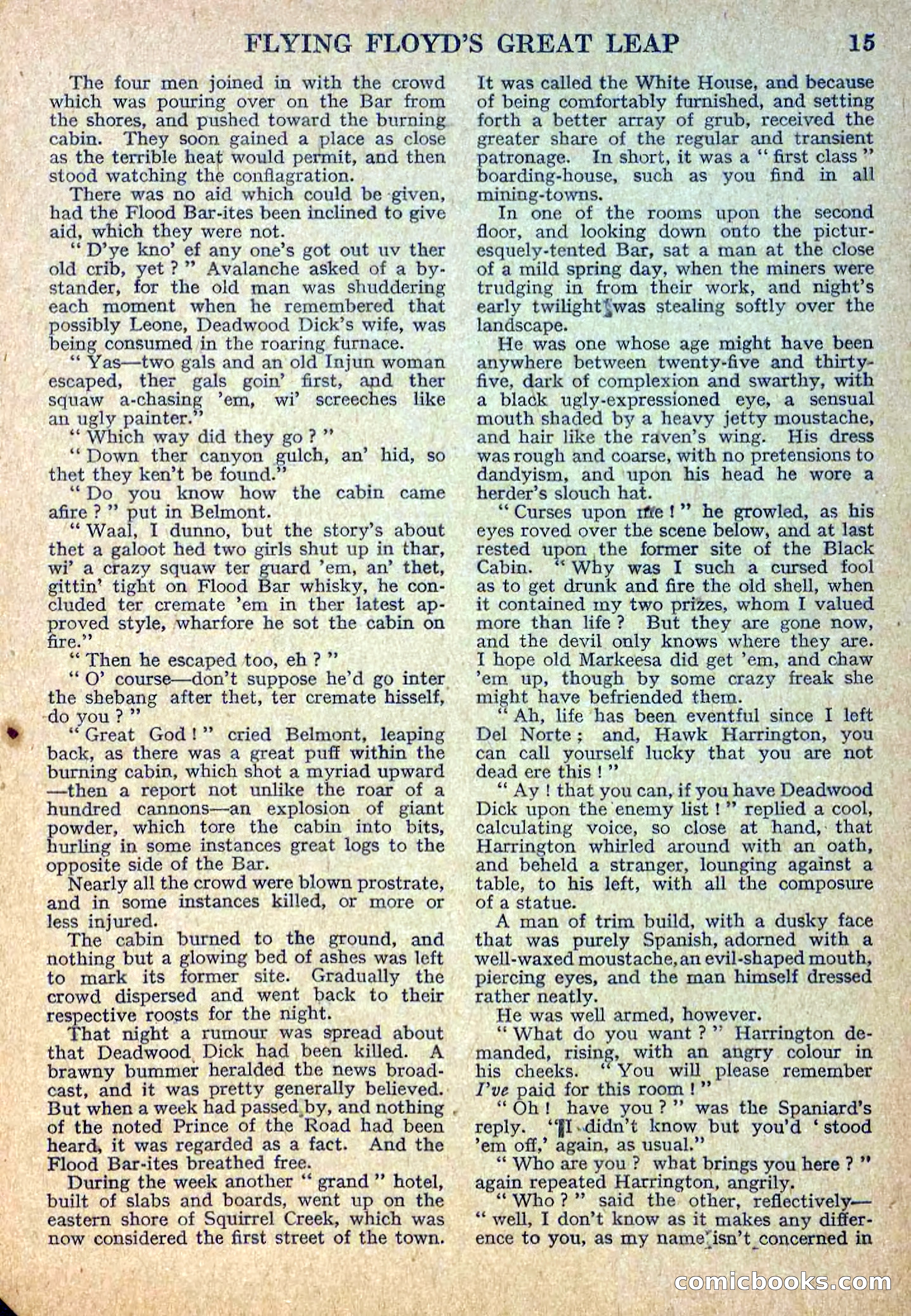 Deadwood Dick Library No. 12 — page 17 of 36