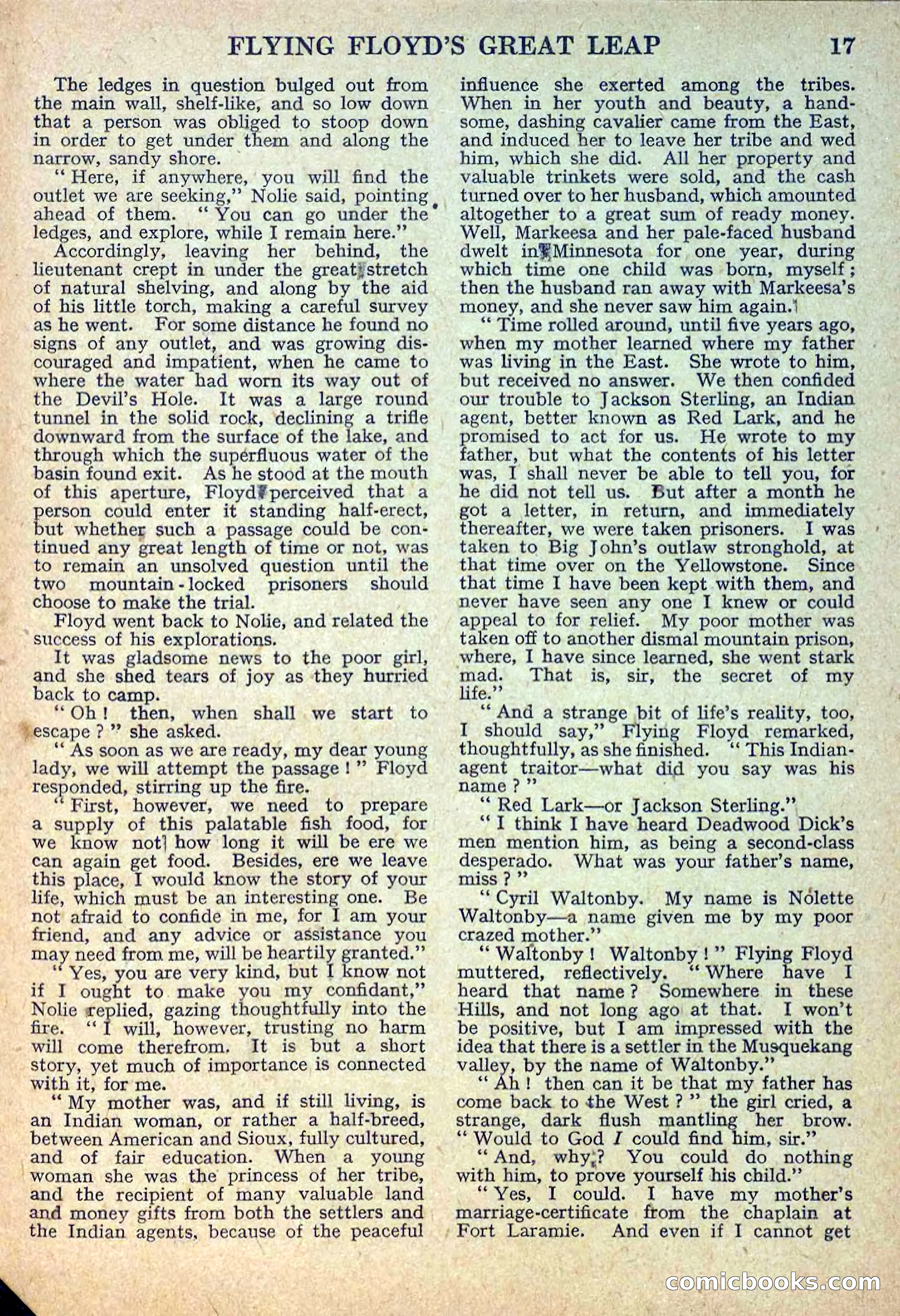 Deadwood Dick Library No. 12 — page 19 of 36