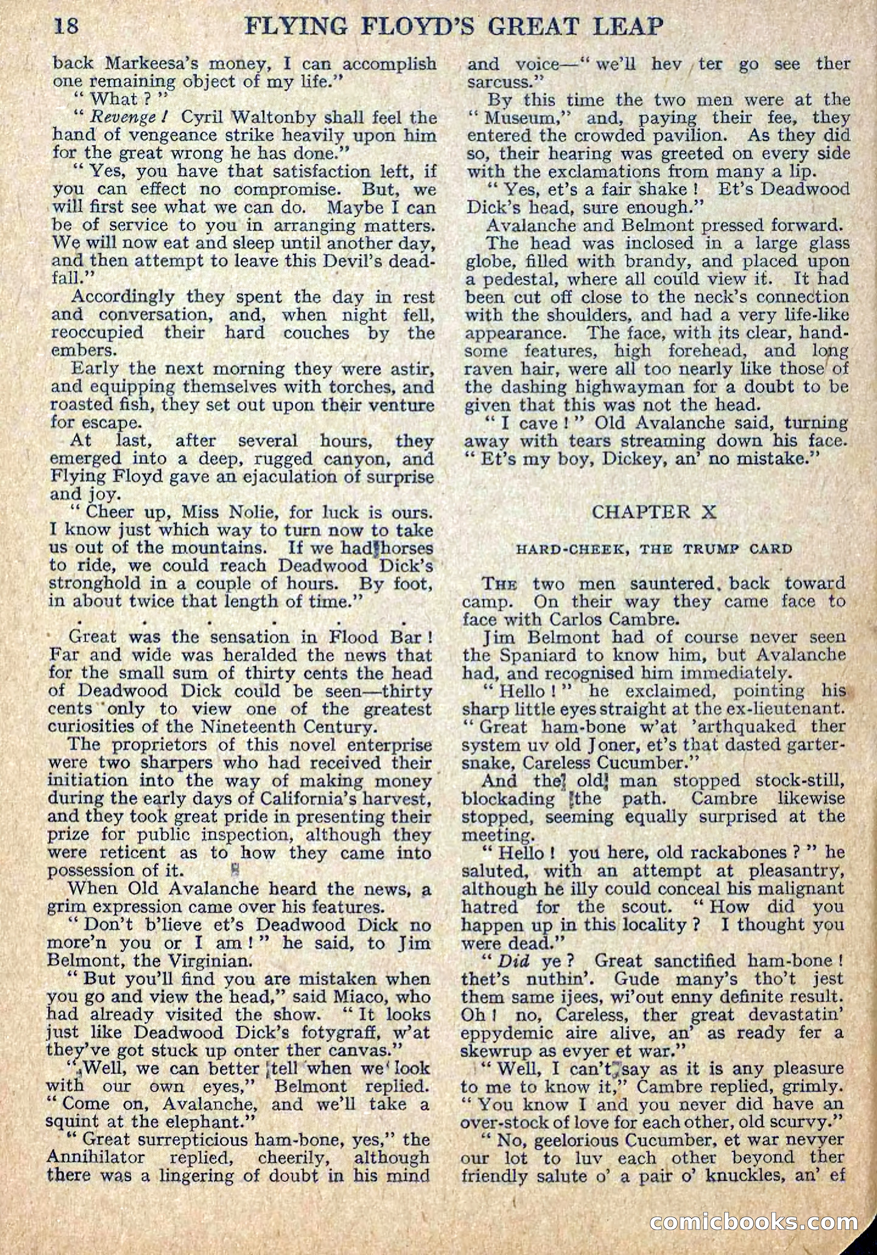Deadwood Dick Library No. 12 — page 20 of 36