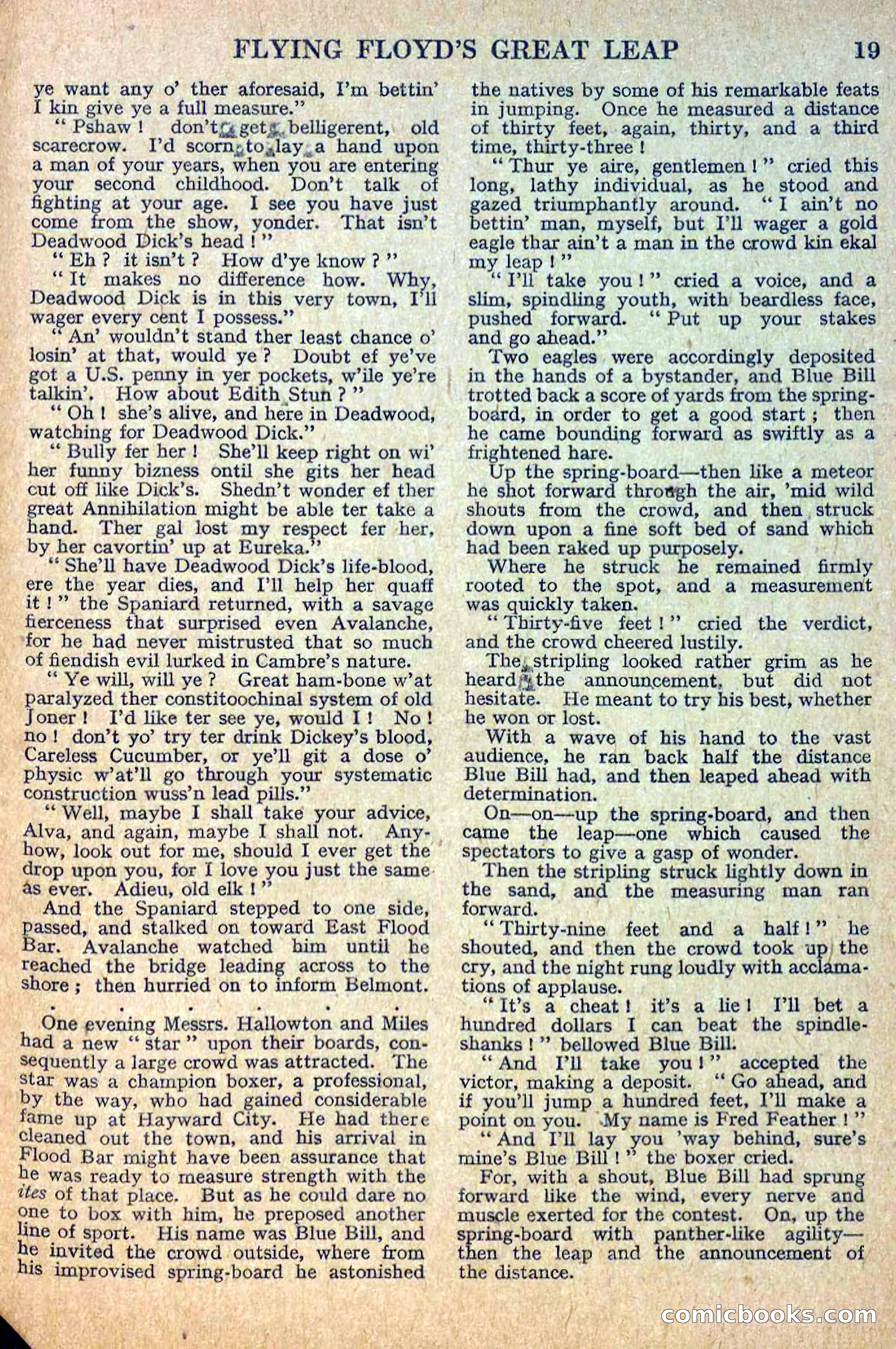 Deadwood Dick Library No. 12 — page 21 of 36