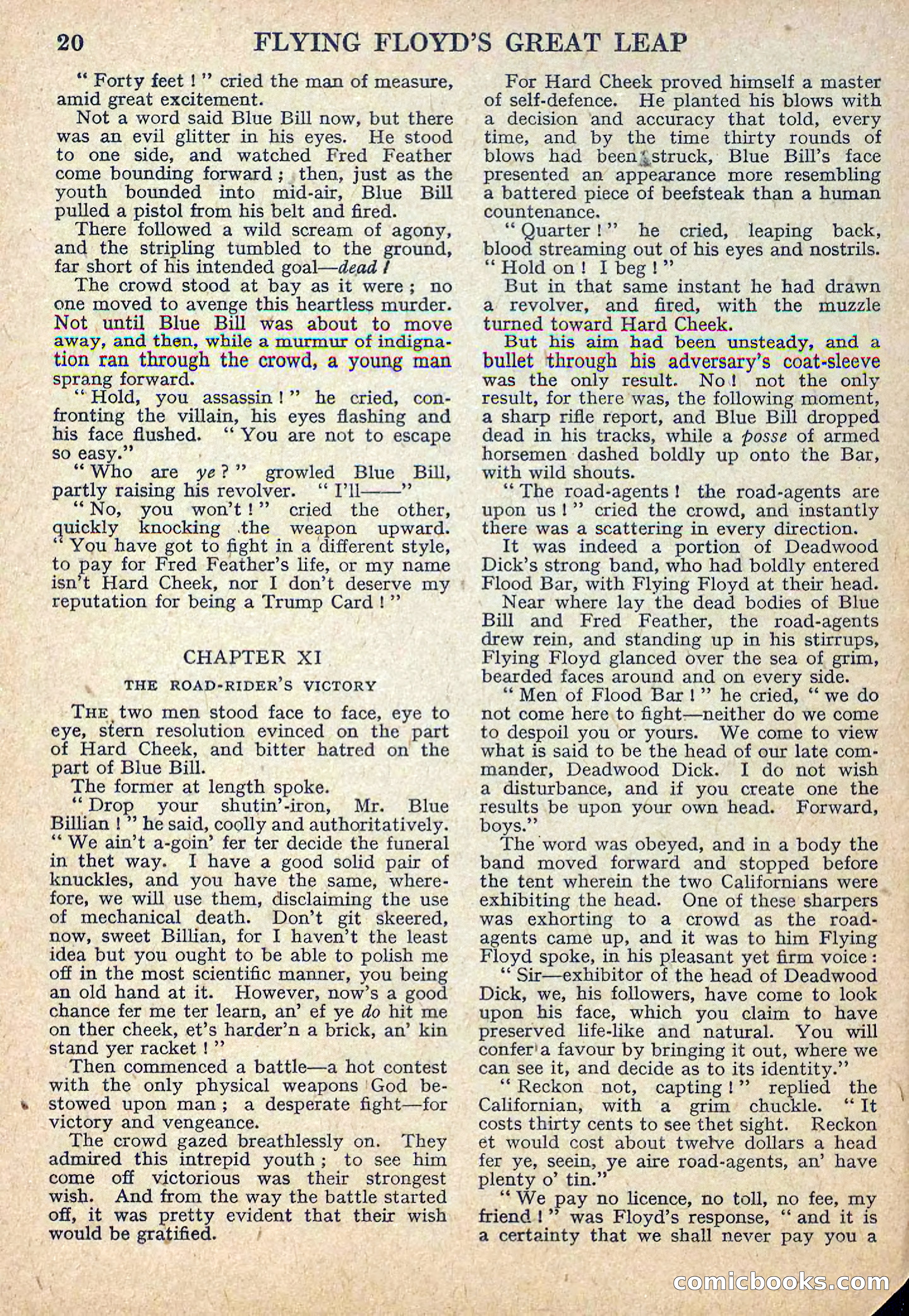 Deadwood Dick Library No. 12 — page 22 of 36