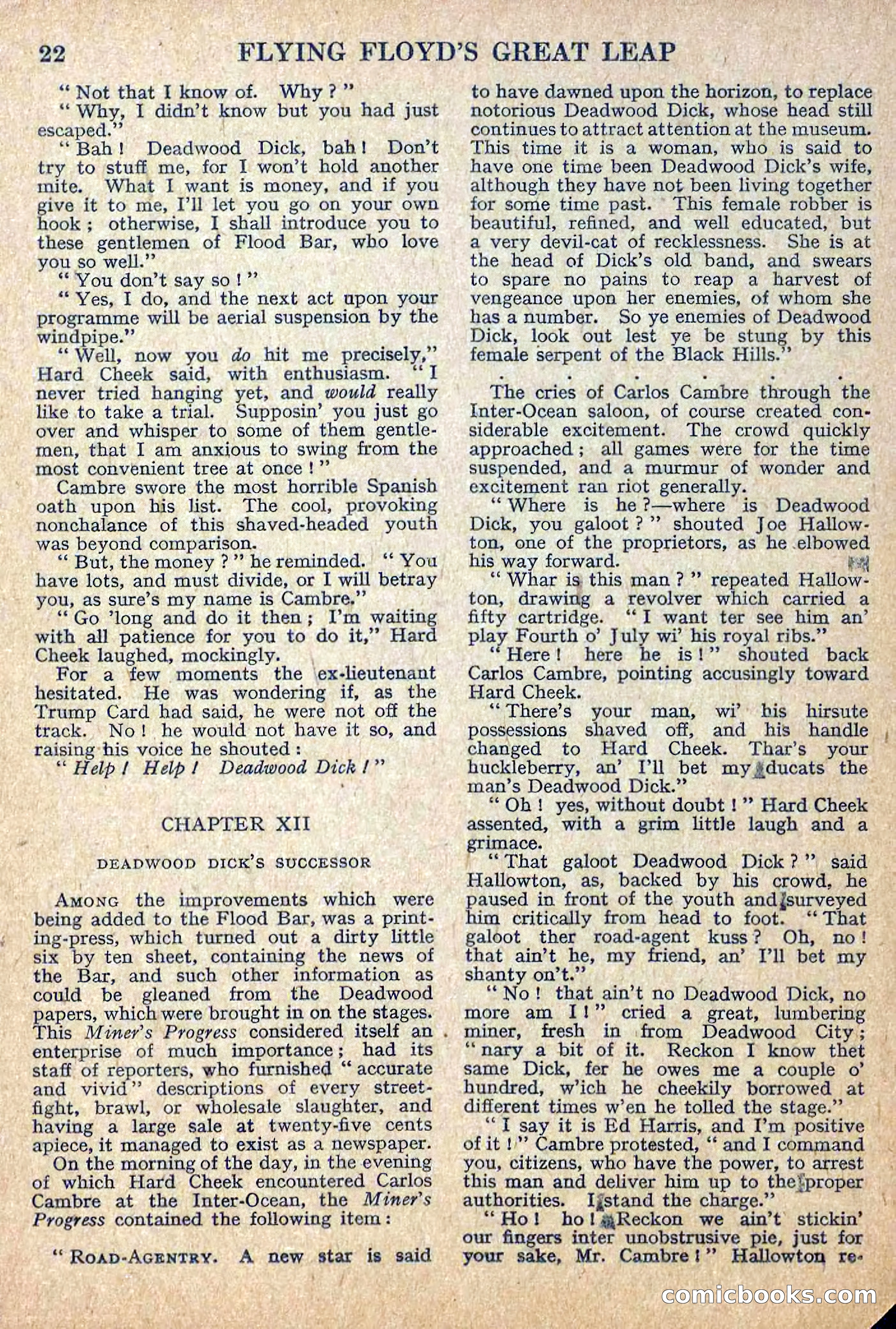 Deadwood Dick Library No. 12 — page 24 of 36
