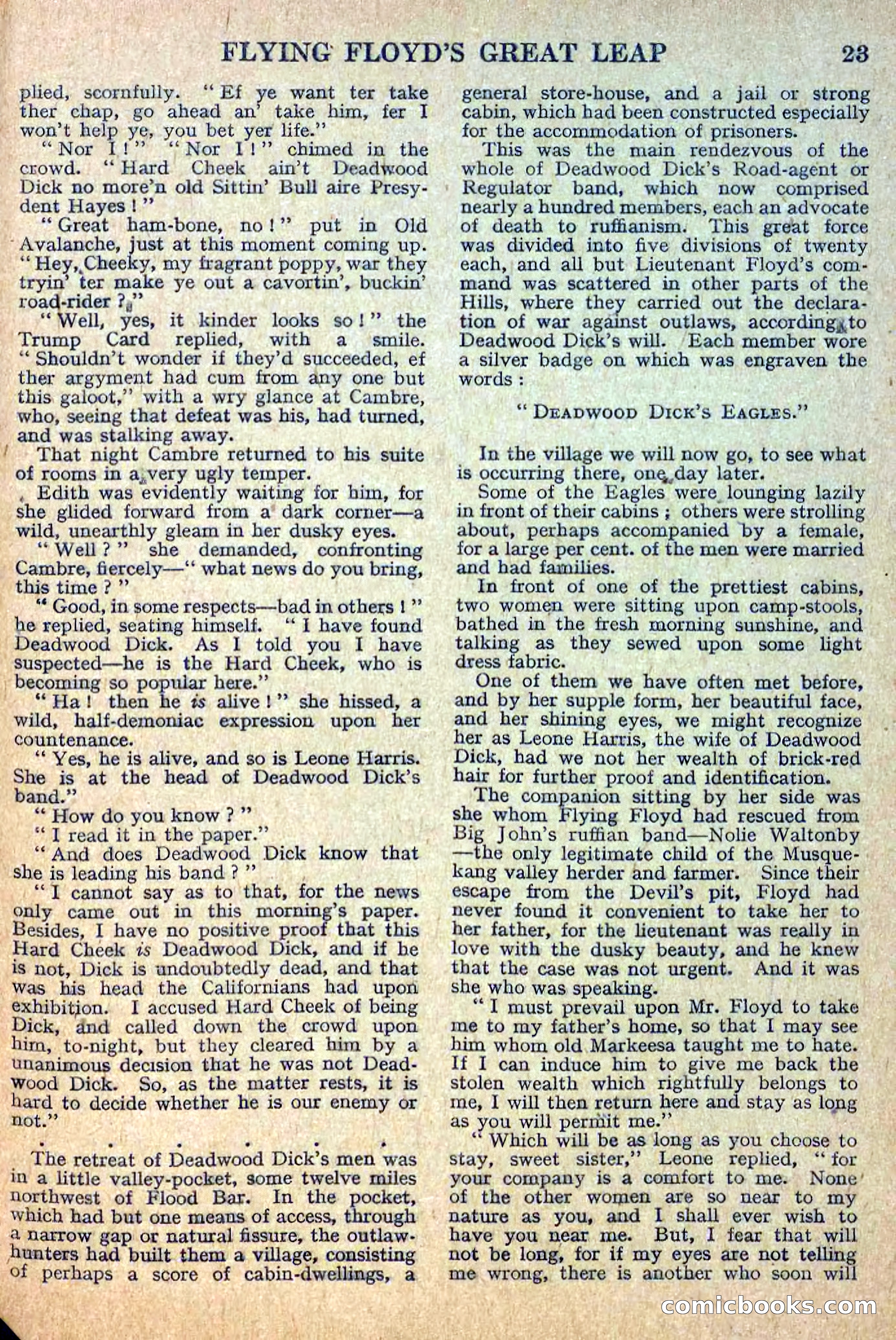 Deadwood Dick Library No. 12 — page 25 of 36