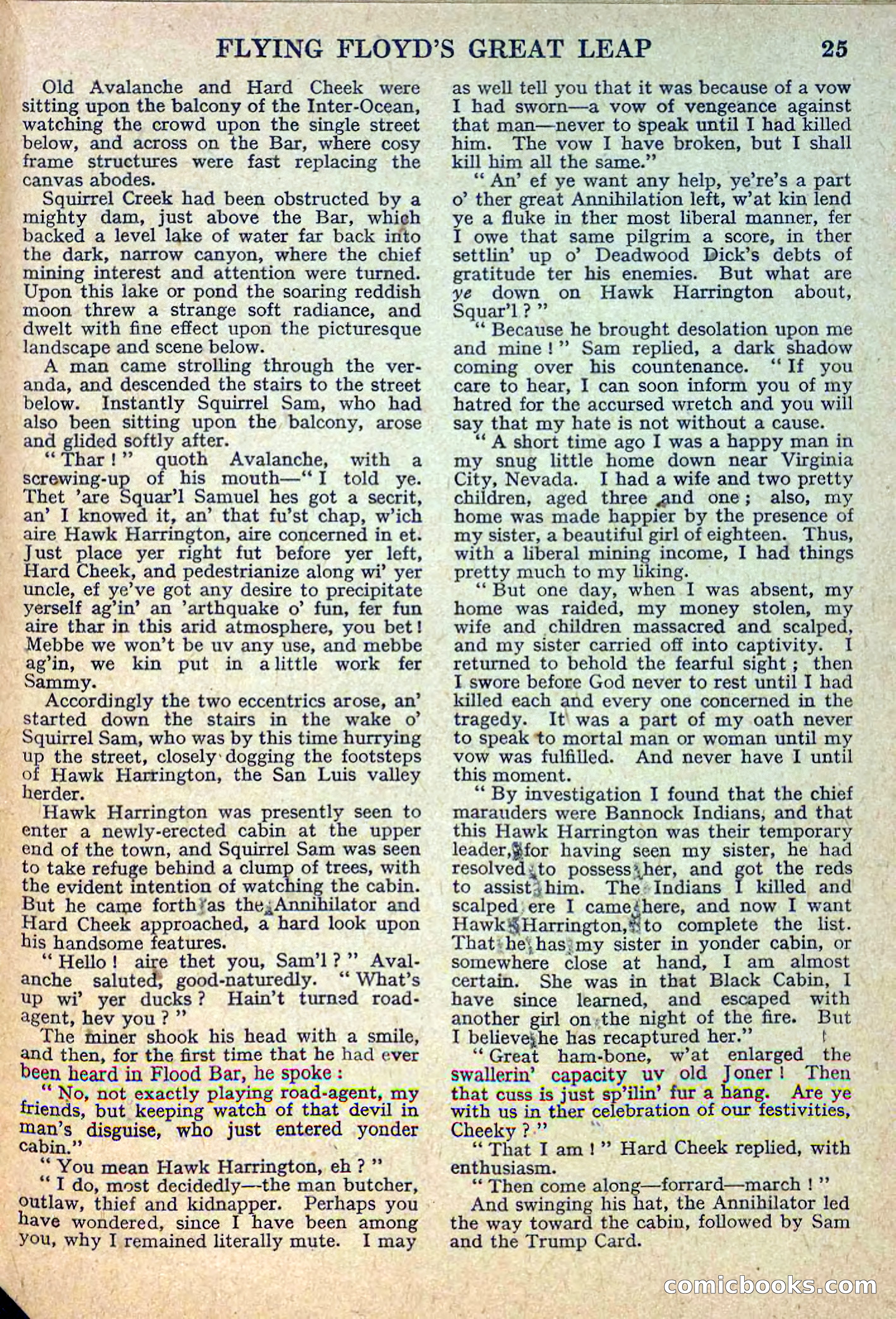 Deadwood Dick Library No. 12 — page 27 of 36