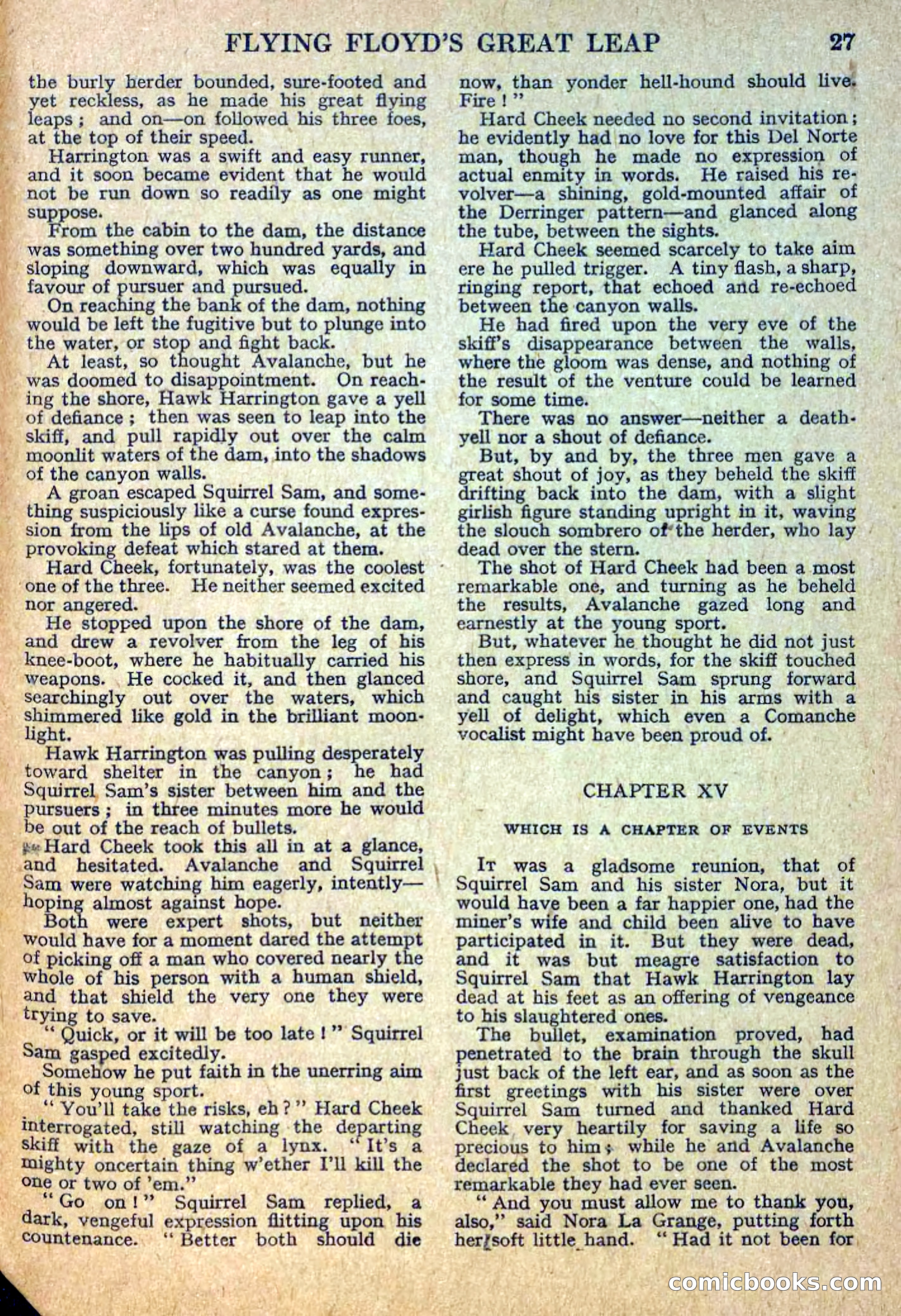 Deadwood Dick Library No. 12 — page 29 of 36