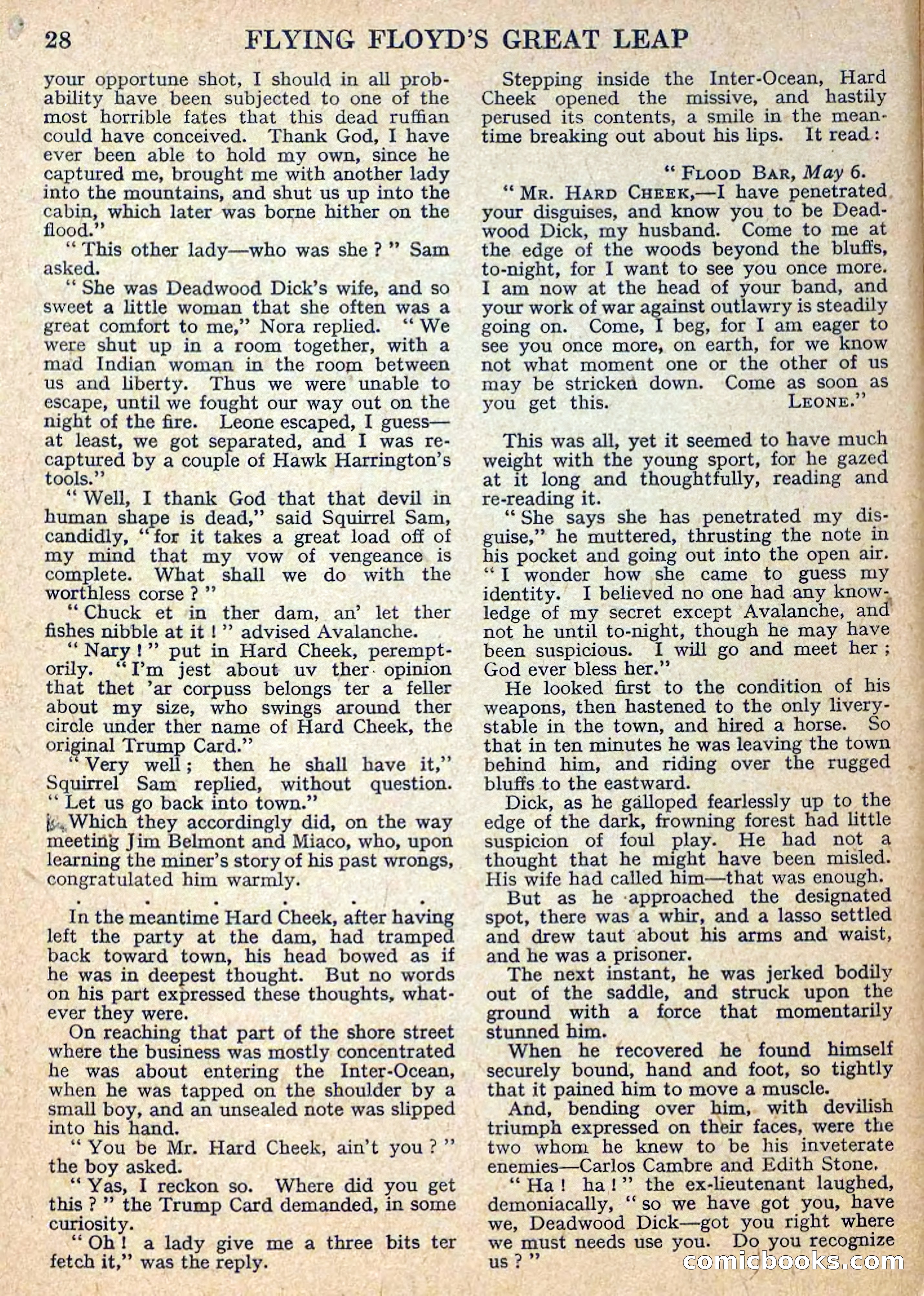 Deadwood Dick Library No. 12 — page 30 of 36