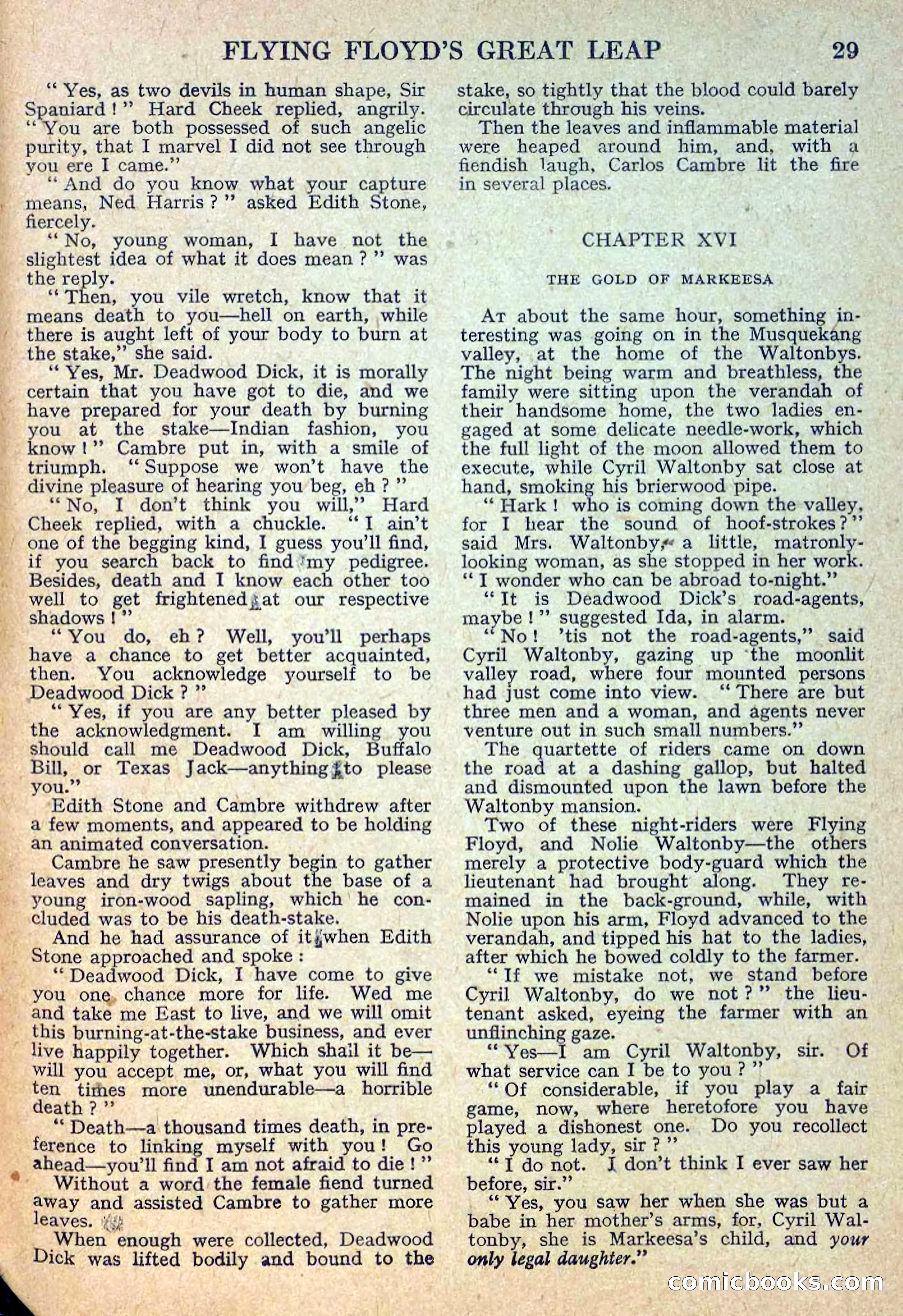 Deadwood Dick Library No. 12 — page 31 of 36