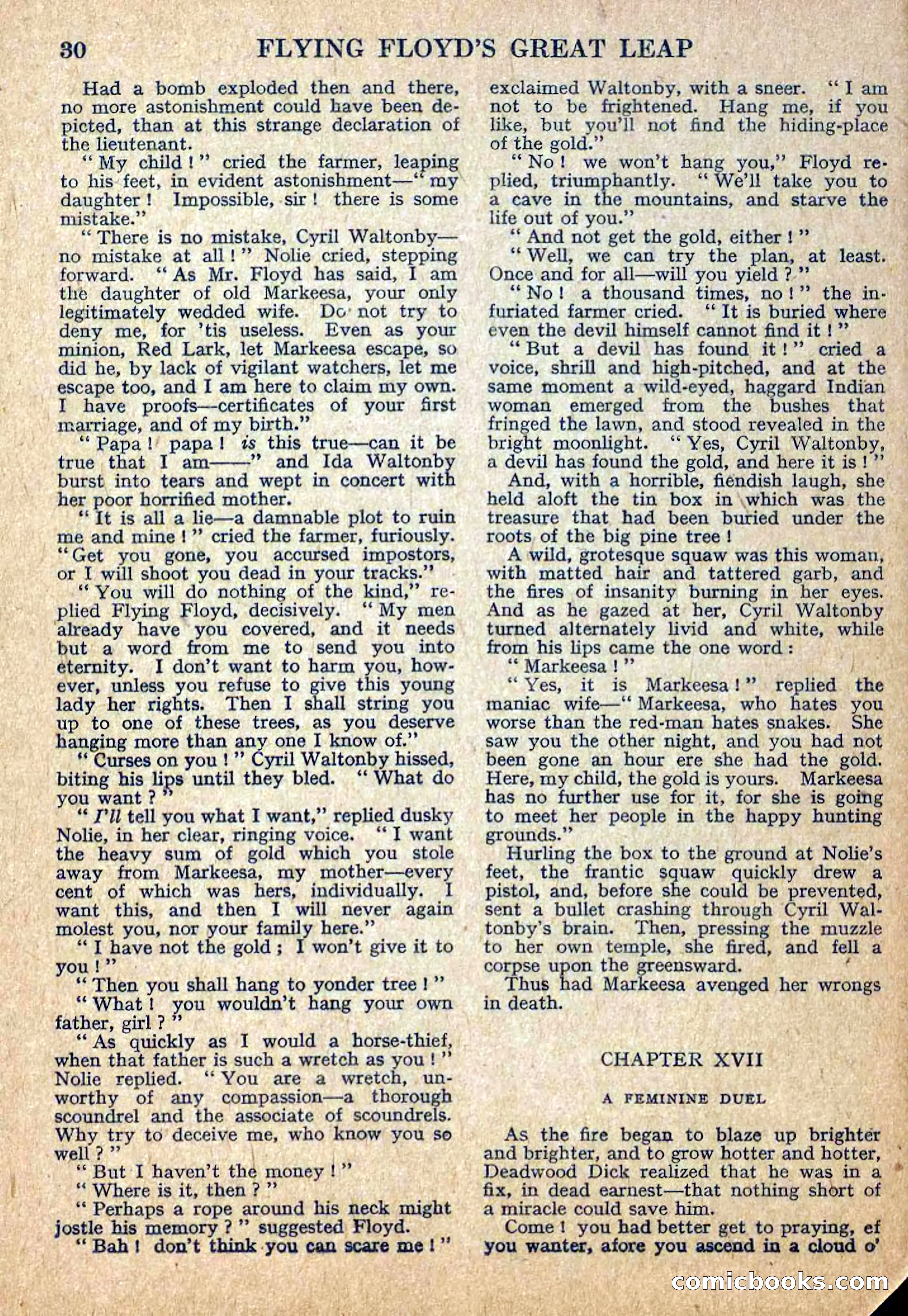 Deadwood Dick Library No. 12 — page 32 of 36