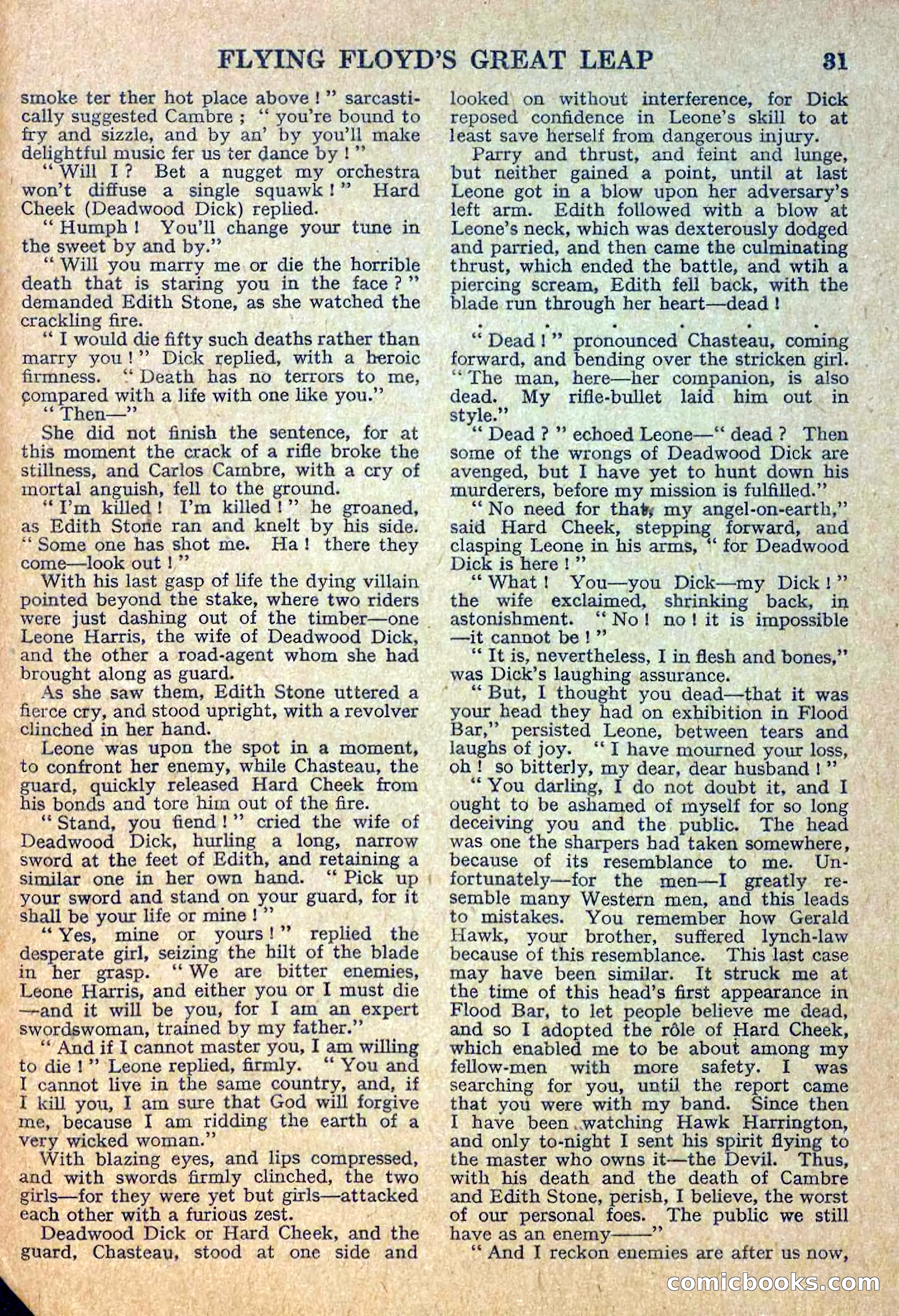 Deadwood Dick Library No. 12 — page 33 of 36