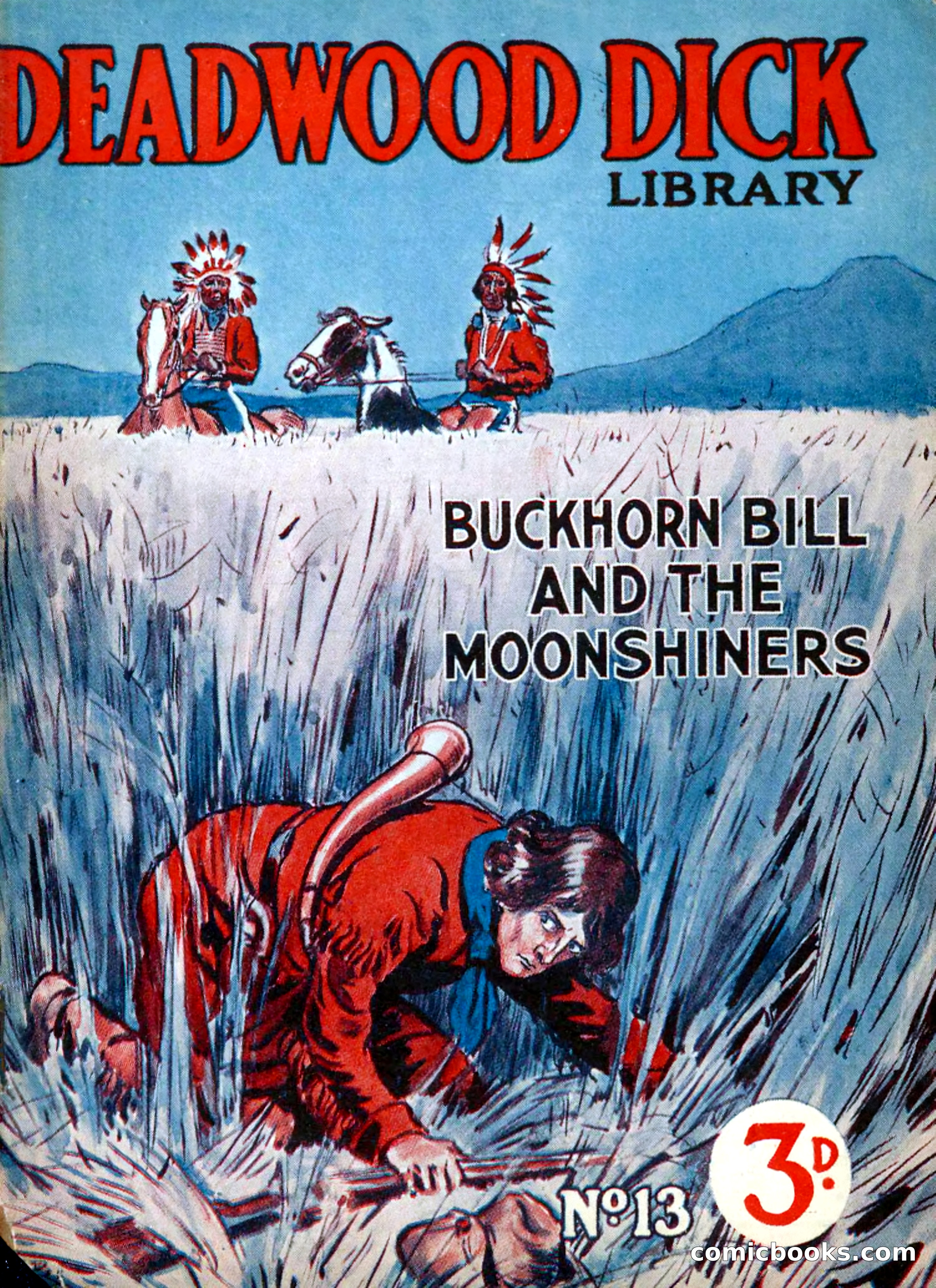 Deadwood Dick Library No. 13