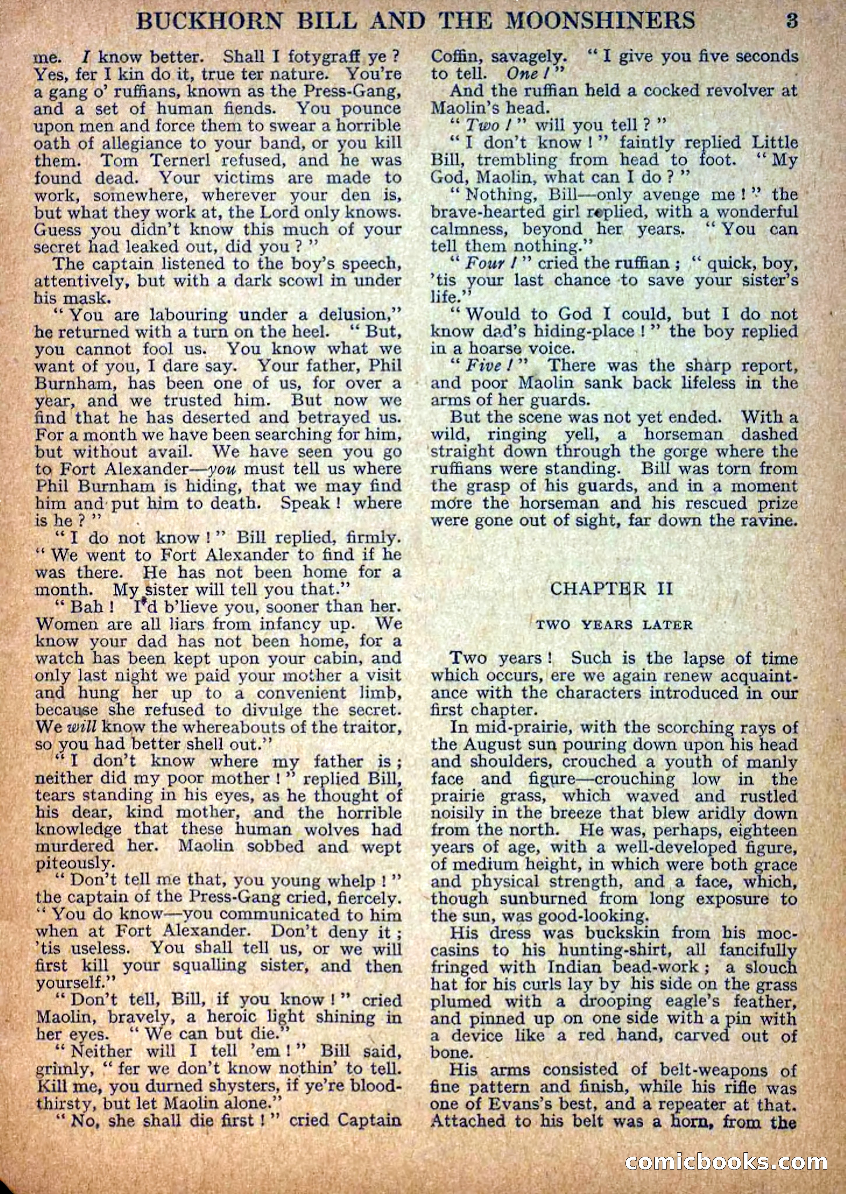Deadwood Dick Library No. 13 — page 5 of 36