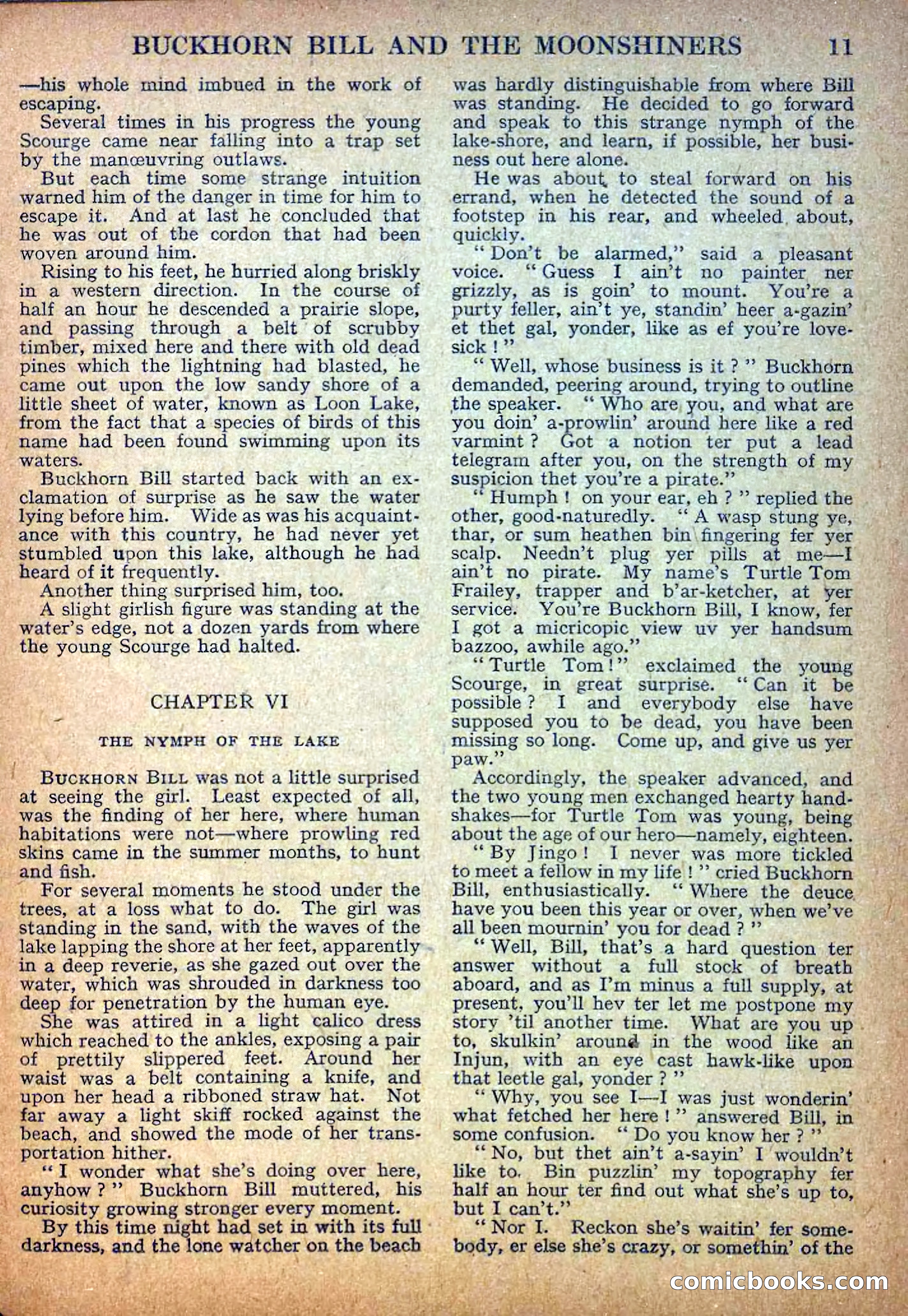 Deadwood Dick Library No. 13 — page 13 of 36