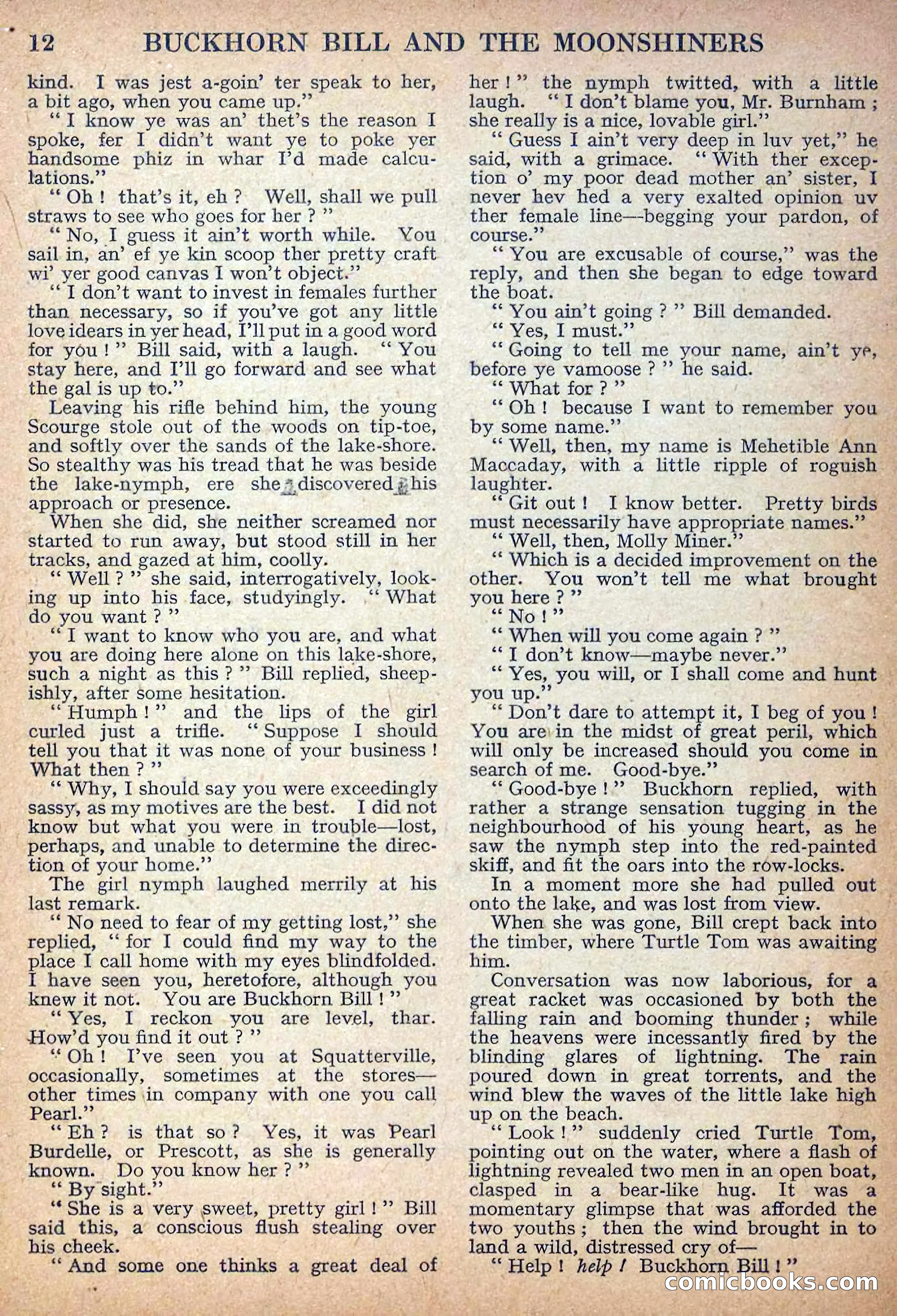 Deadwood Dick Library No. 13 — page 14 of 36