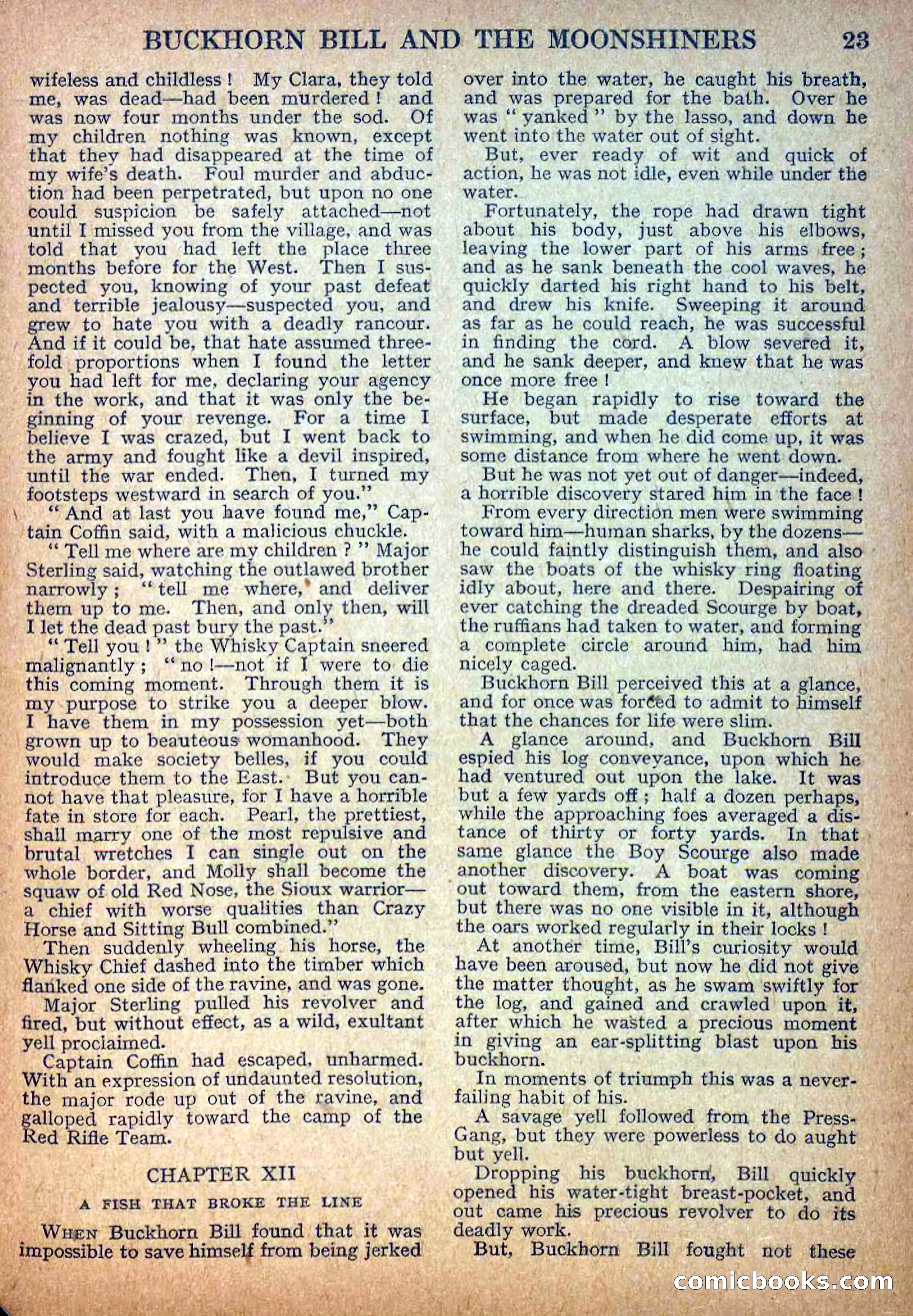 Deadwood Dick Library No. 13 — page 25 of 36