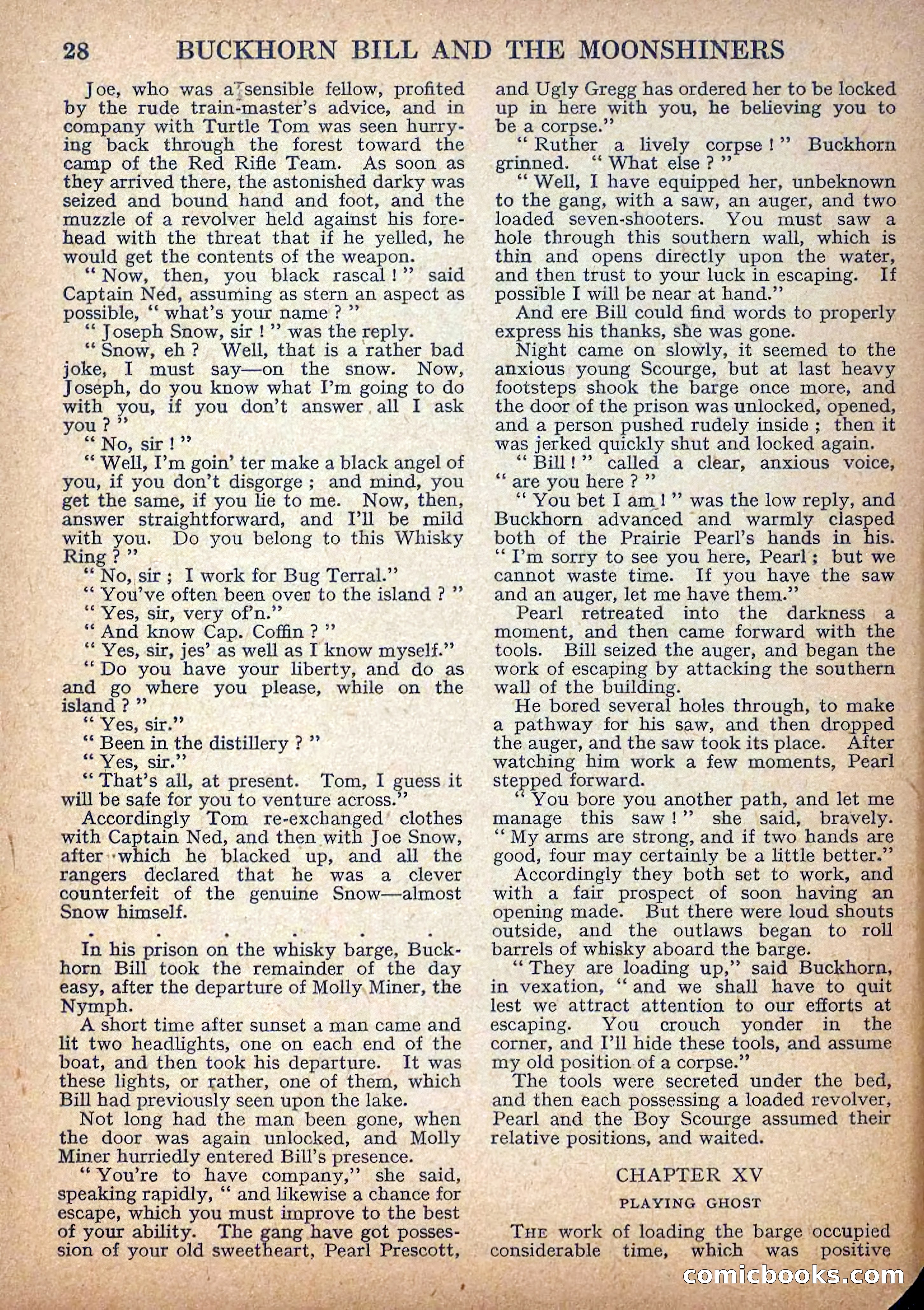 Deadwood Dick Library No. 13 — page 30 of 36