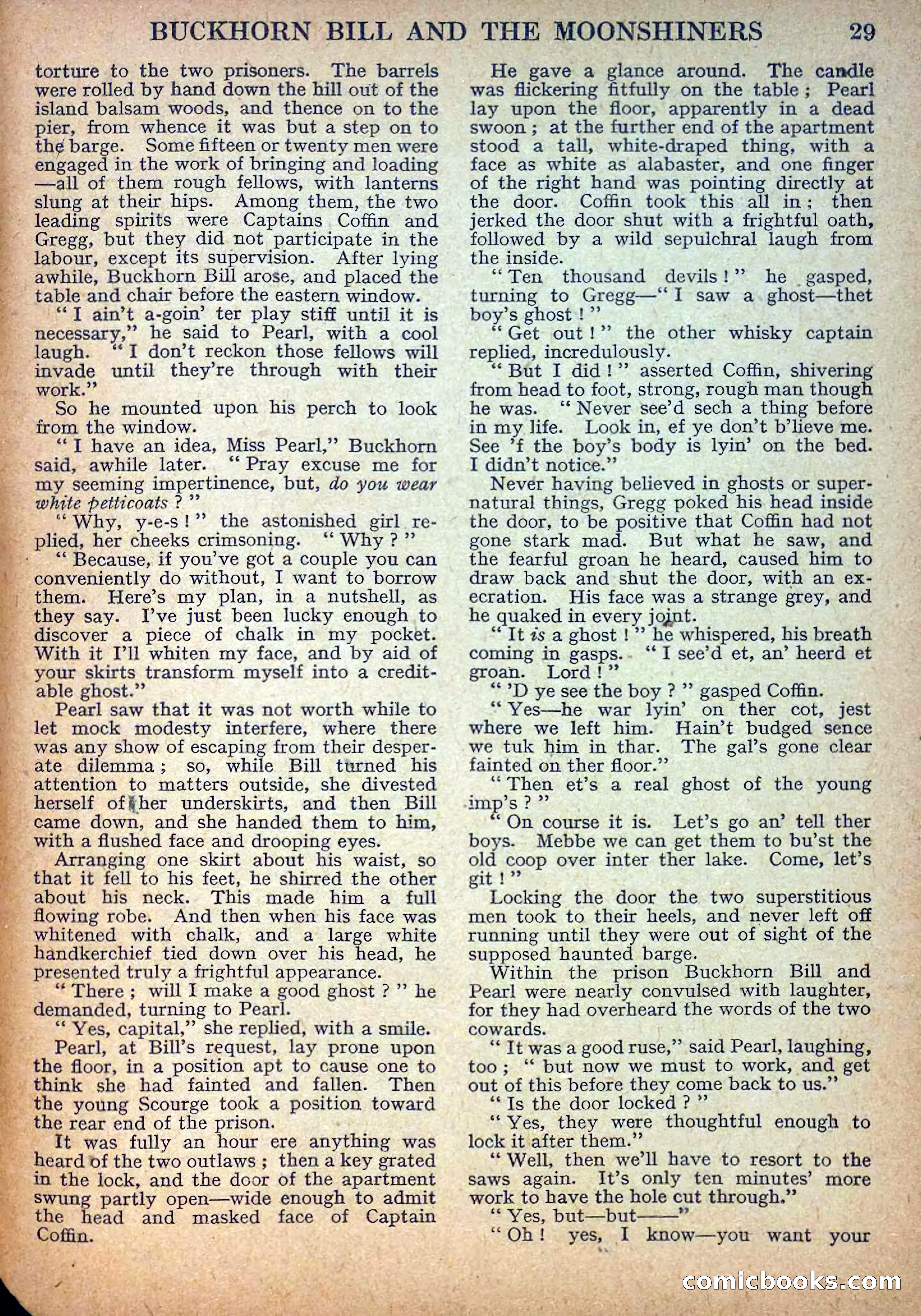 Deadwood Dick Library No. 13 — page 31 of 36