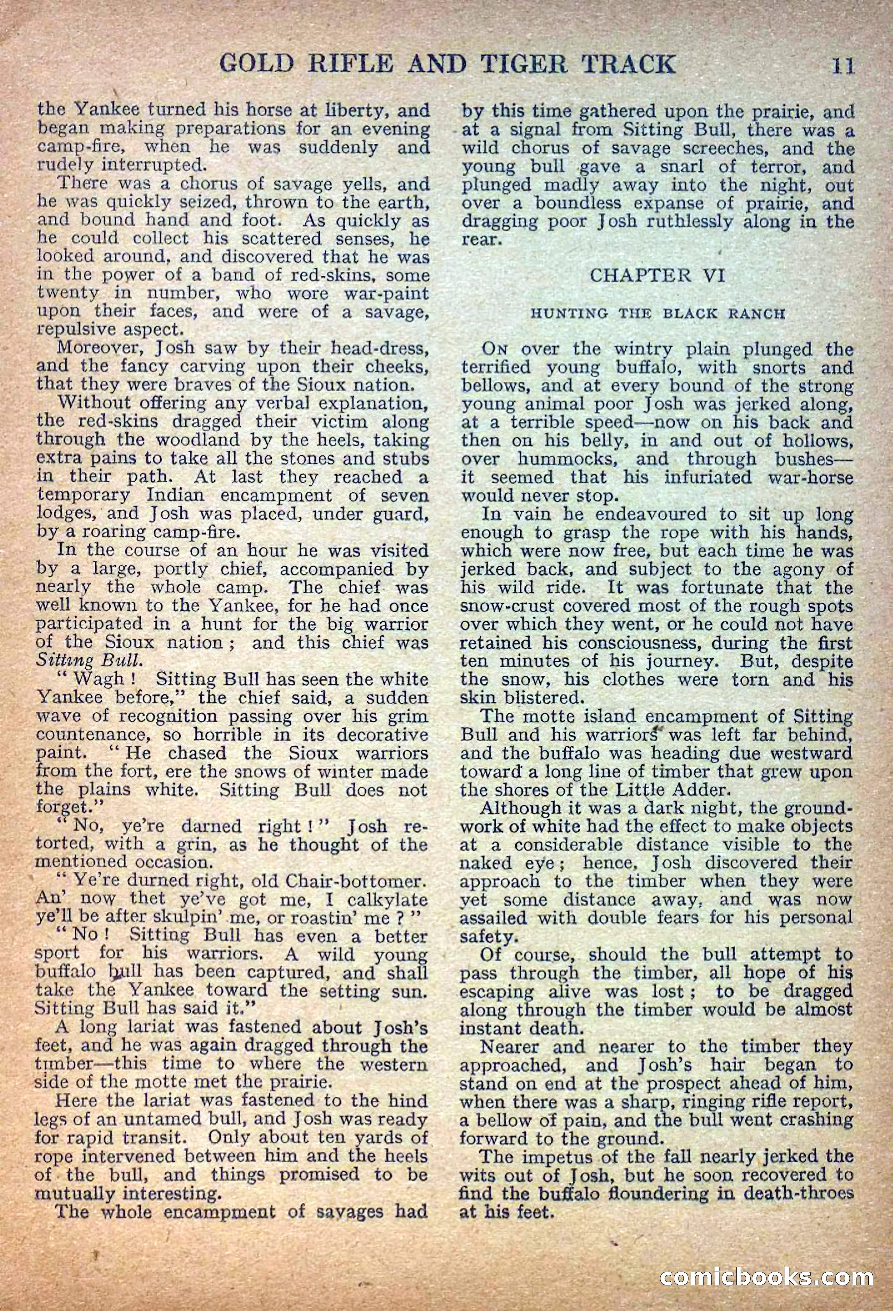 Deadwood Dick Library No. 14 — page 13 of 36