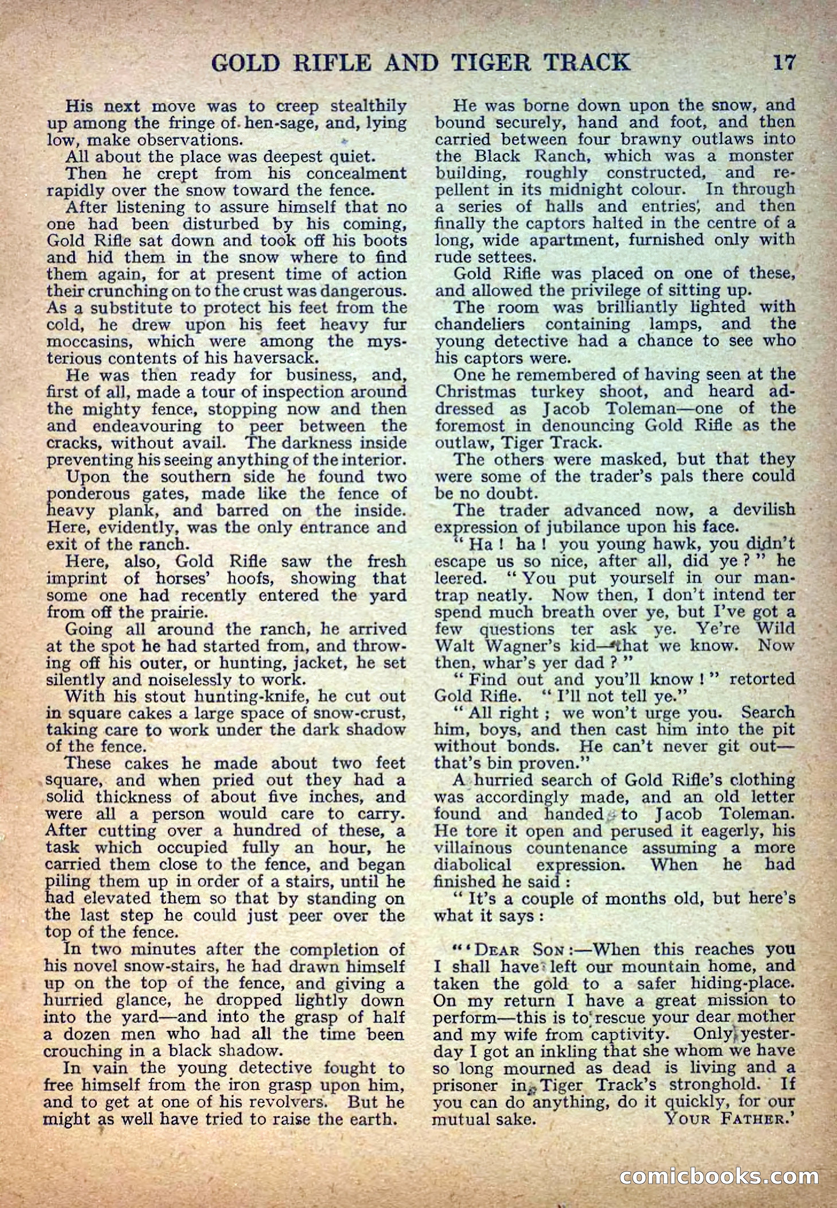 Deadwood Dick Library No. 14 — page 19 of 36