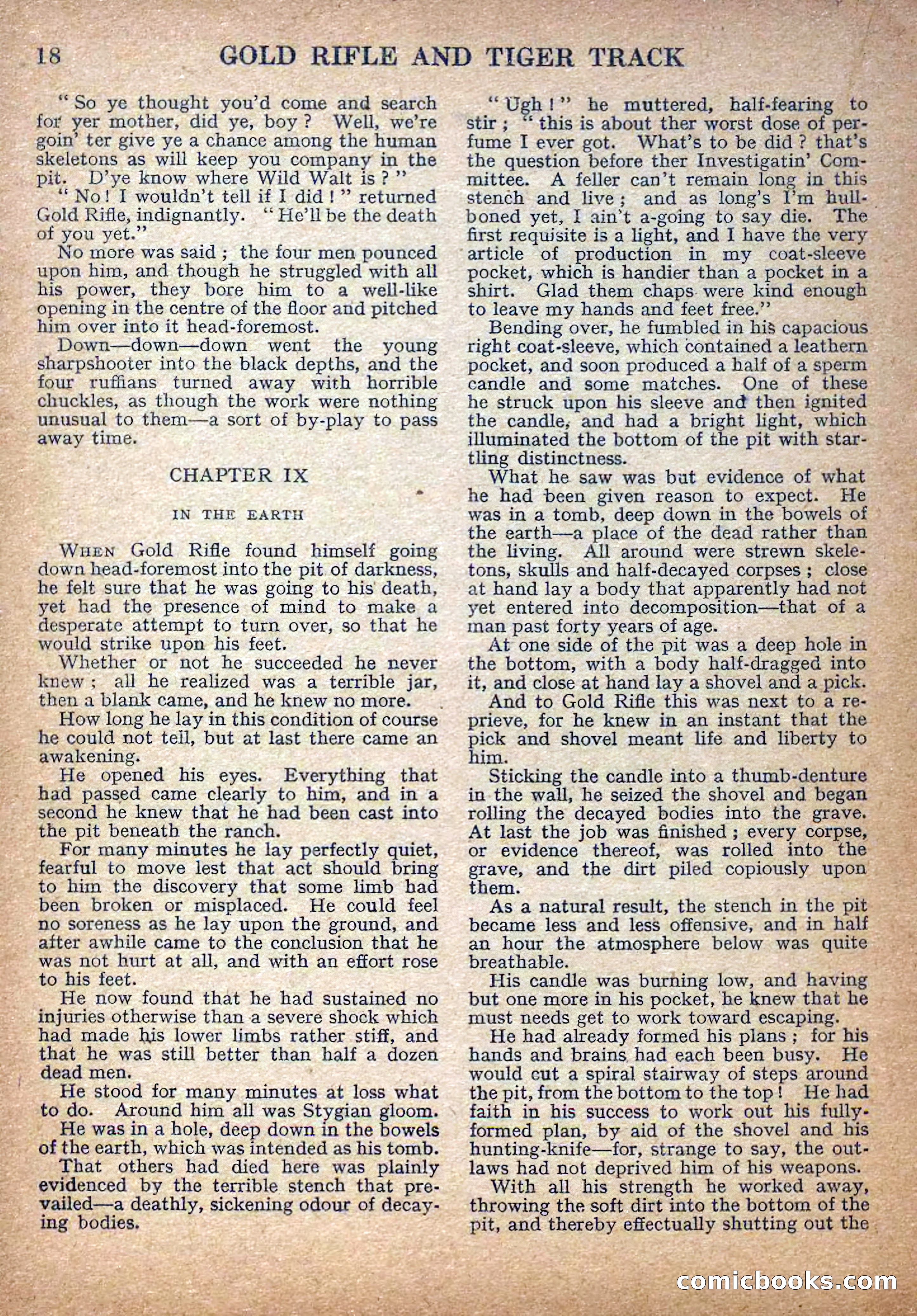 Deadwood Dick Library No. 14 — page 20 of 36