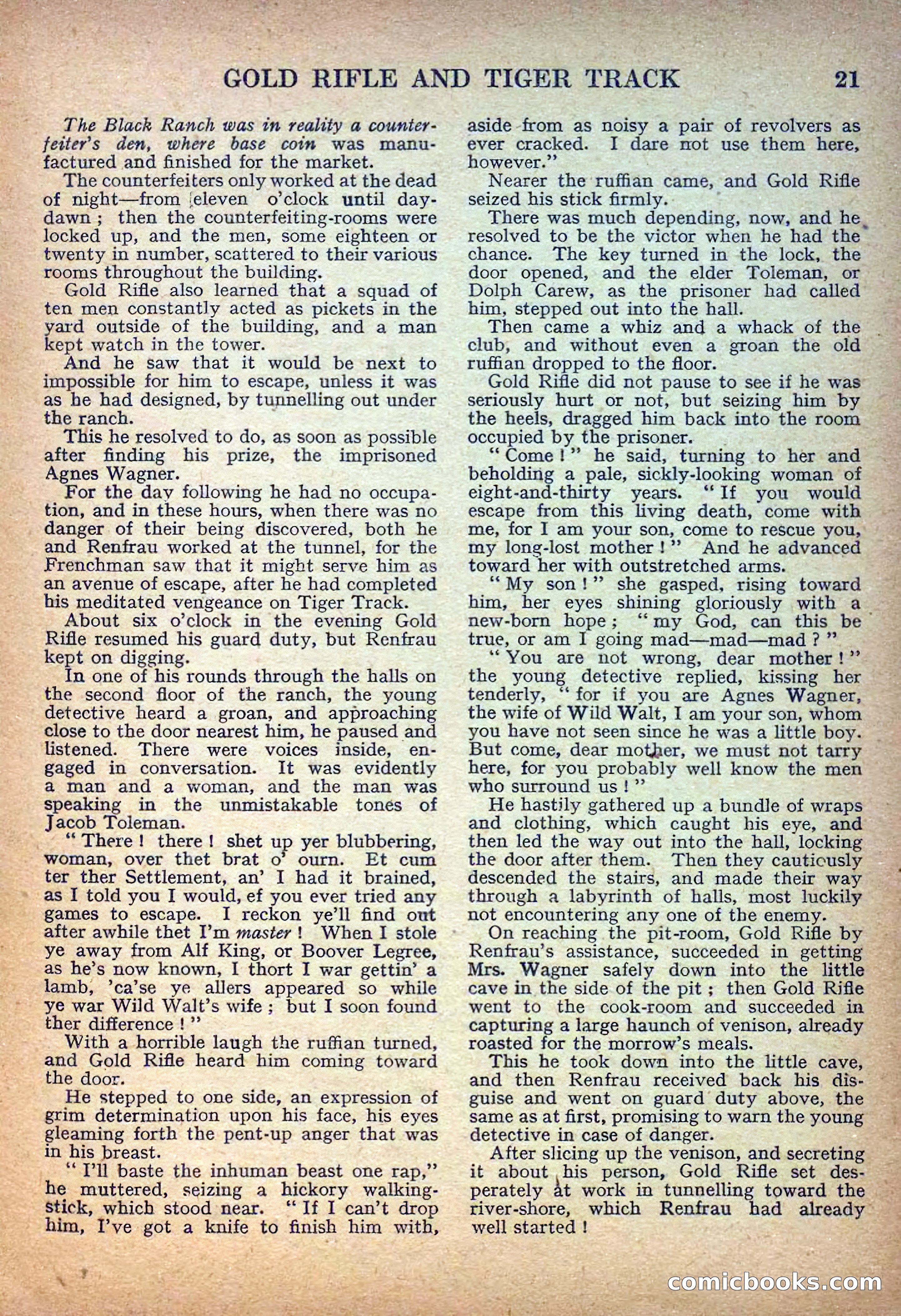 Deadwood Dick Library No. 14 — page 23 of 36