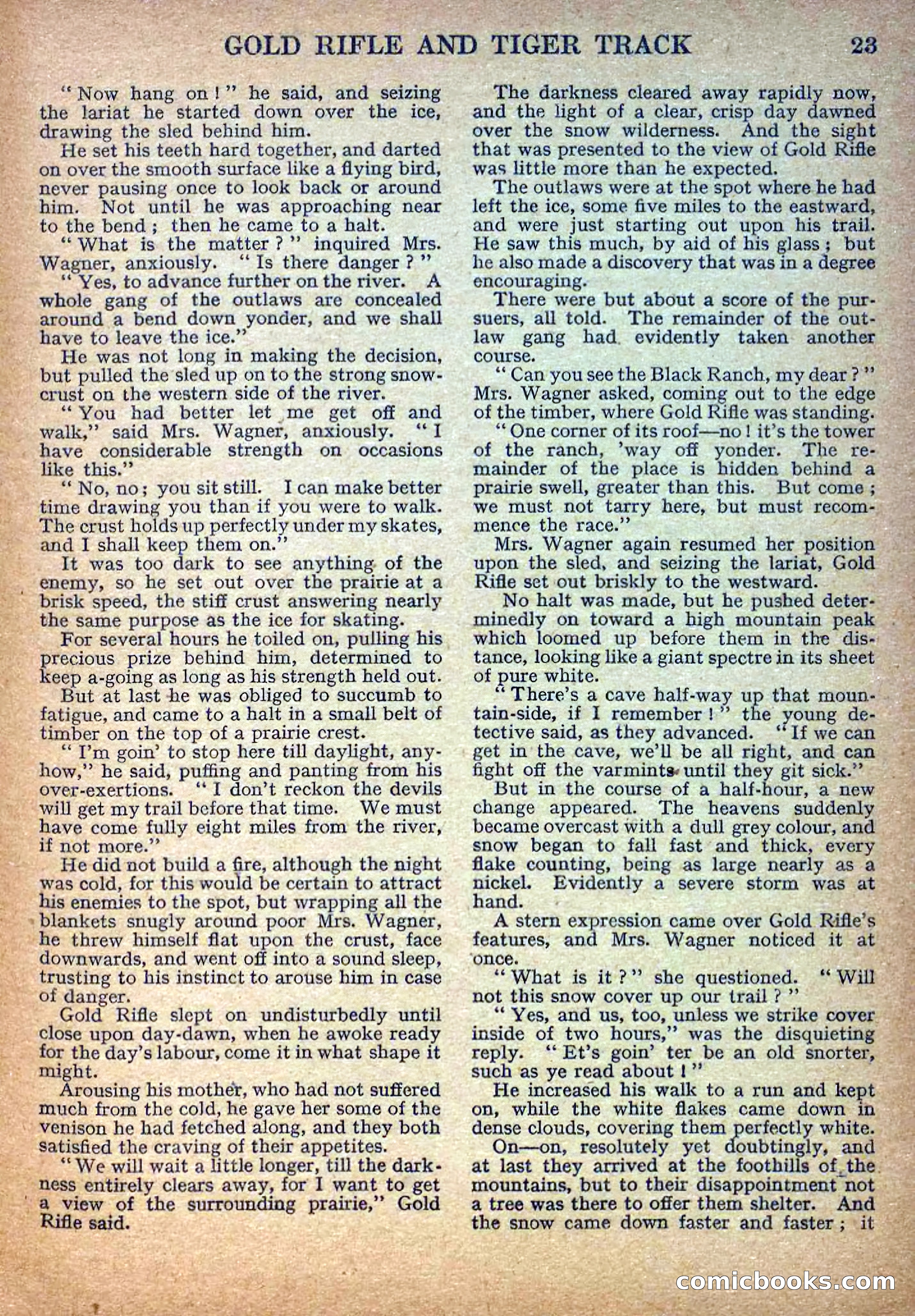Deadwood Dick Library No. 14 — page 25 of 36