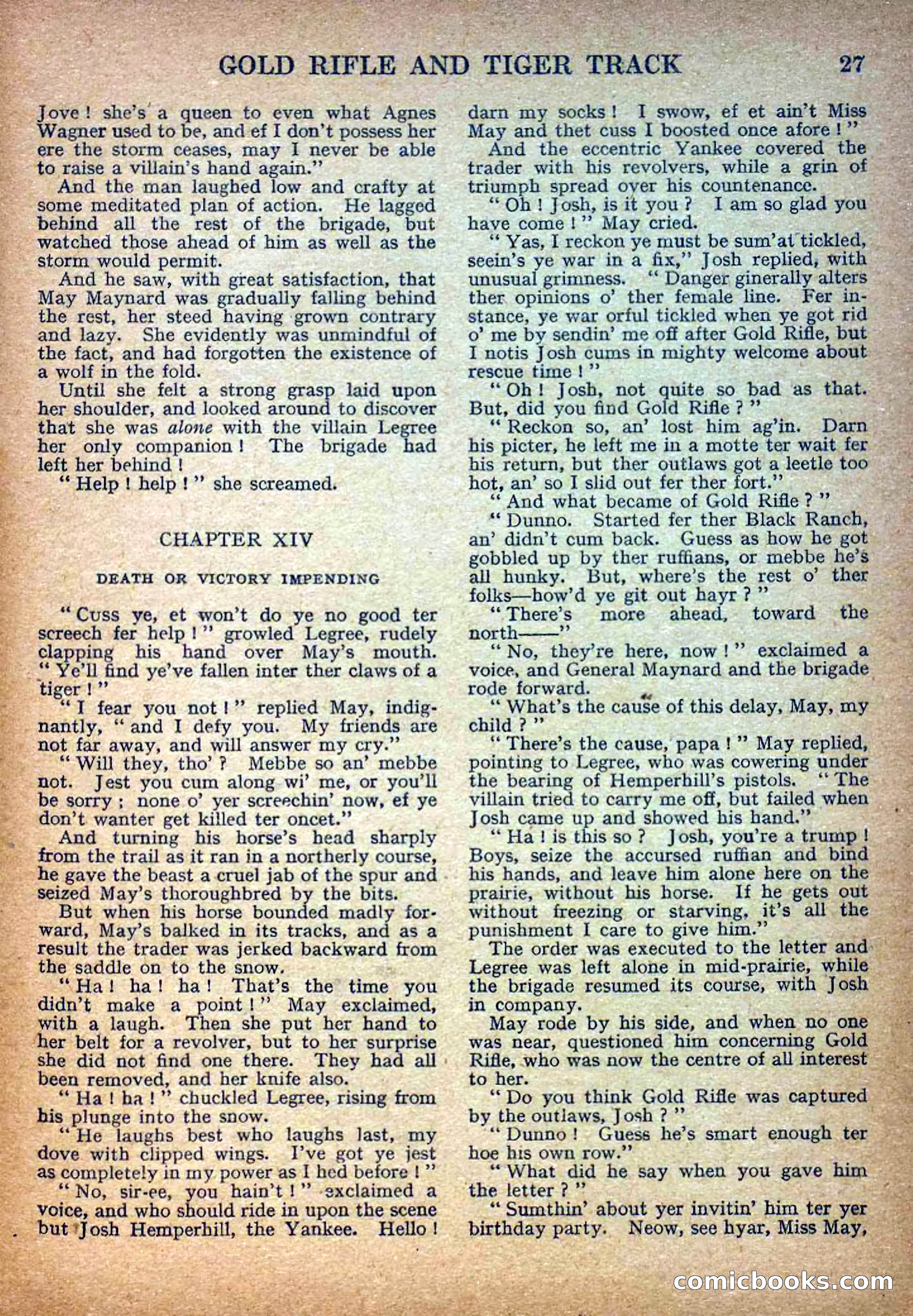Deadwood Dick Library No. 14 — page 29 of 36