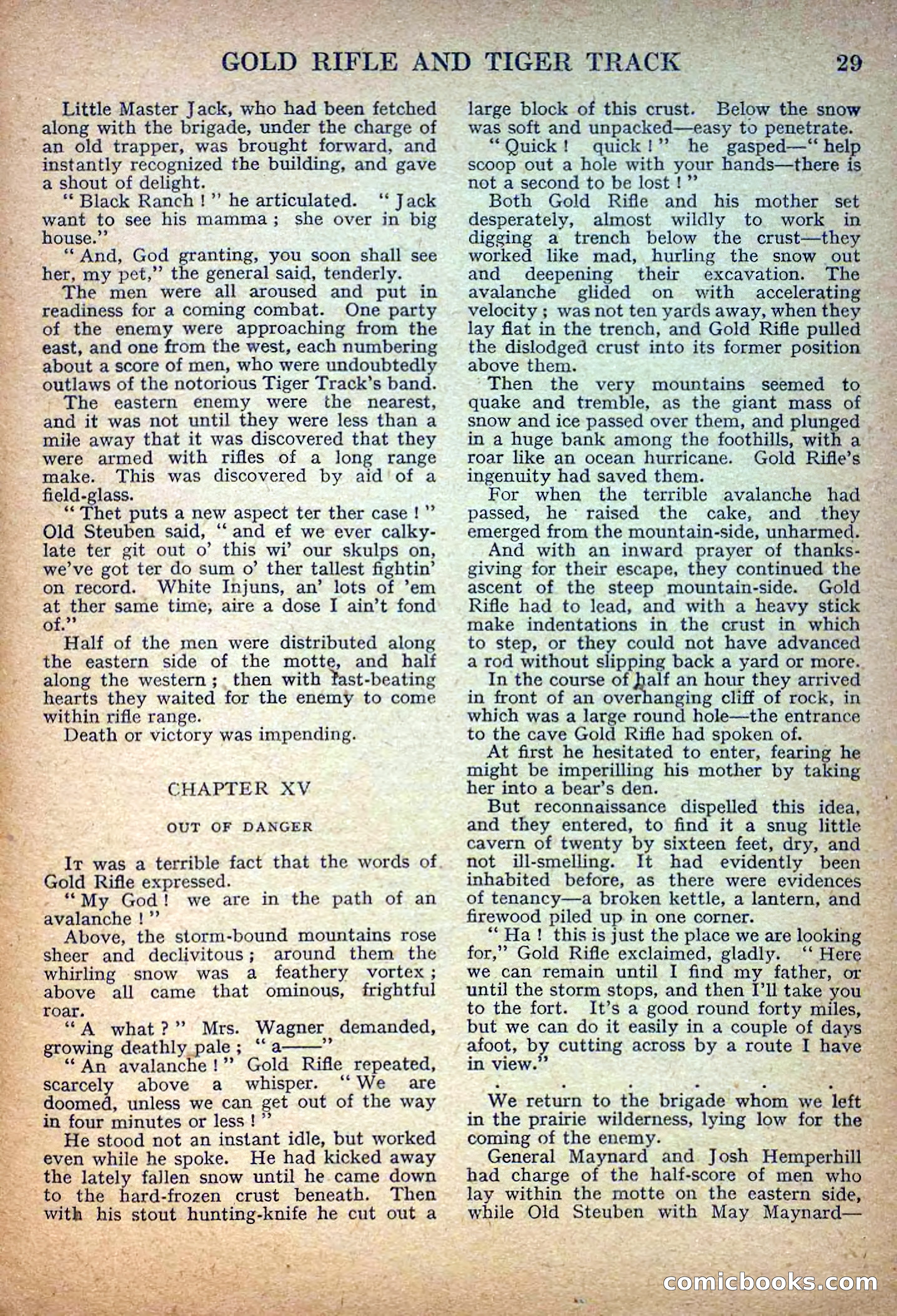 Deadwood Dick Library No. 14 — page 31 of 36