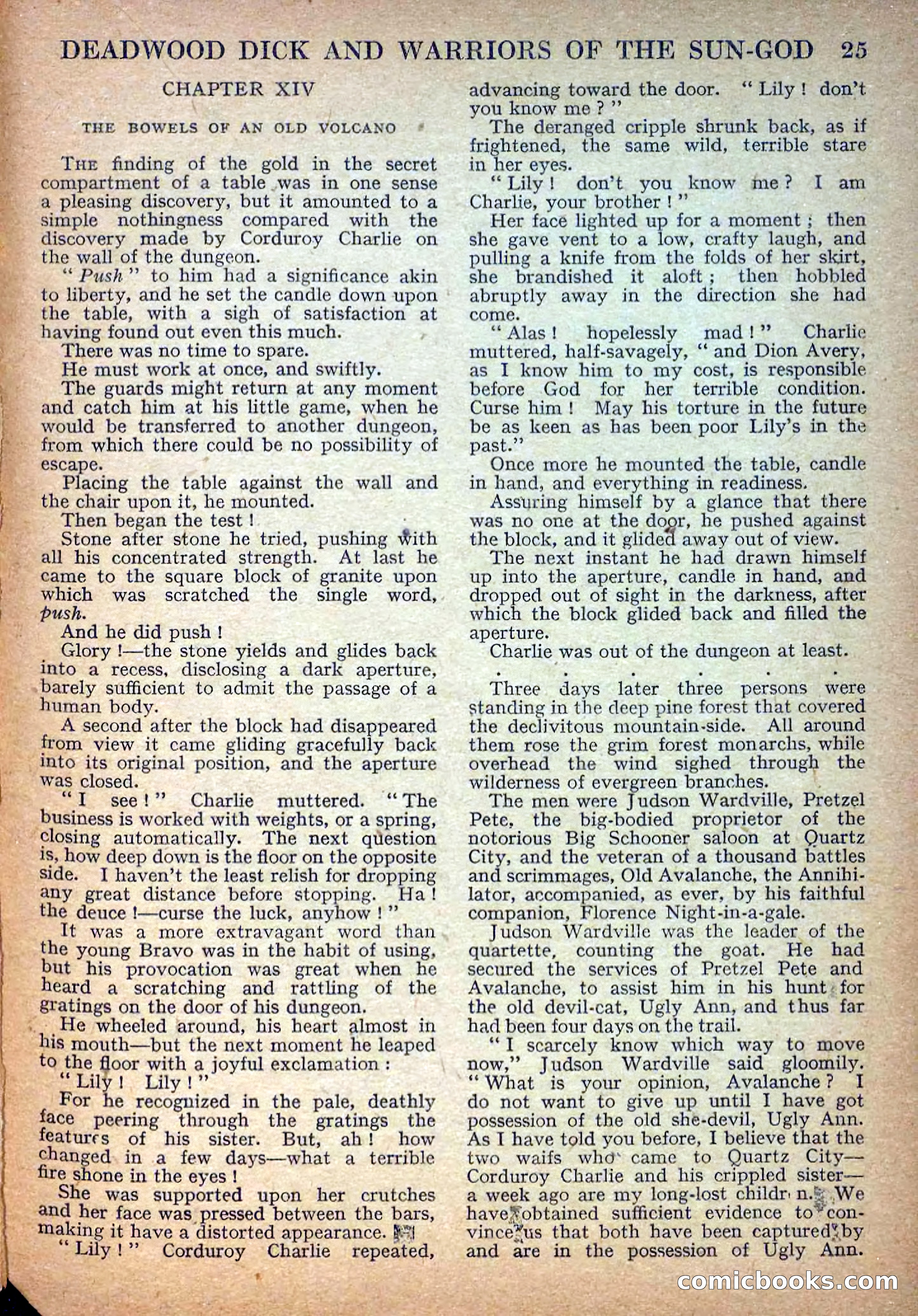 Deadwood Dick Library No. 16 — page 27 of 36