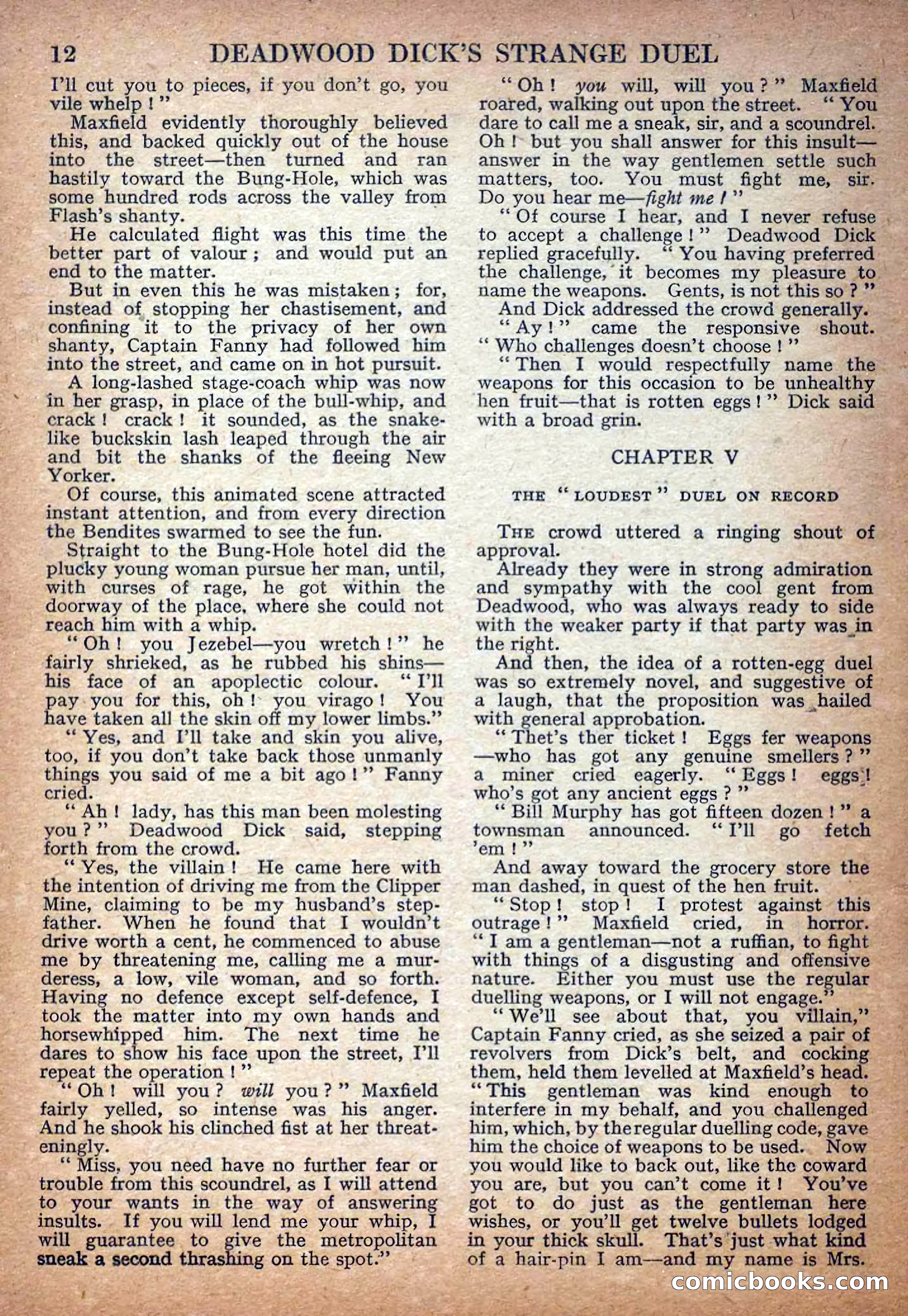 Deadwood Dick Library No. 17 — page 14 of 36