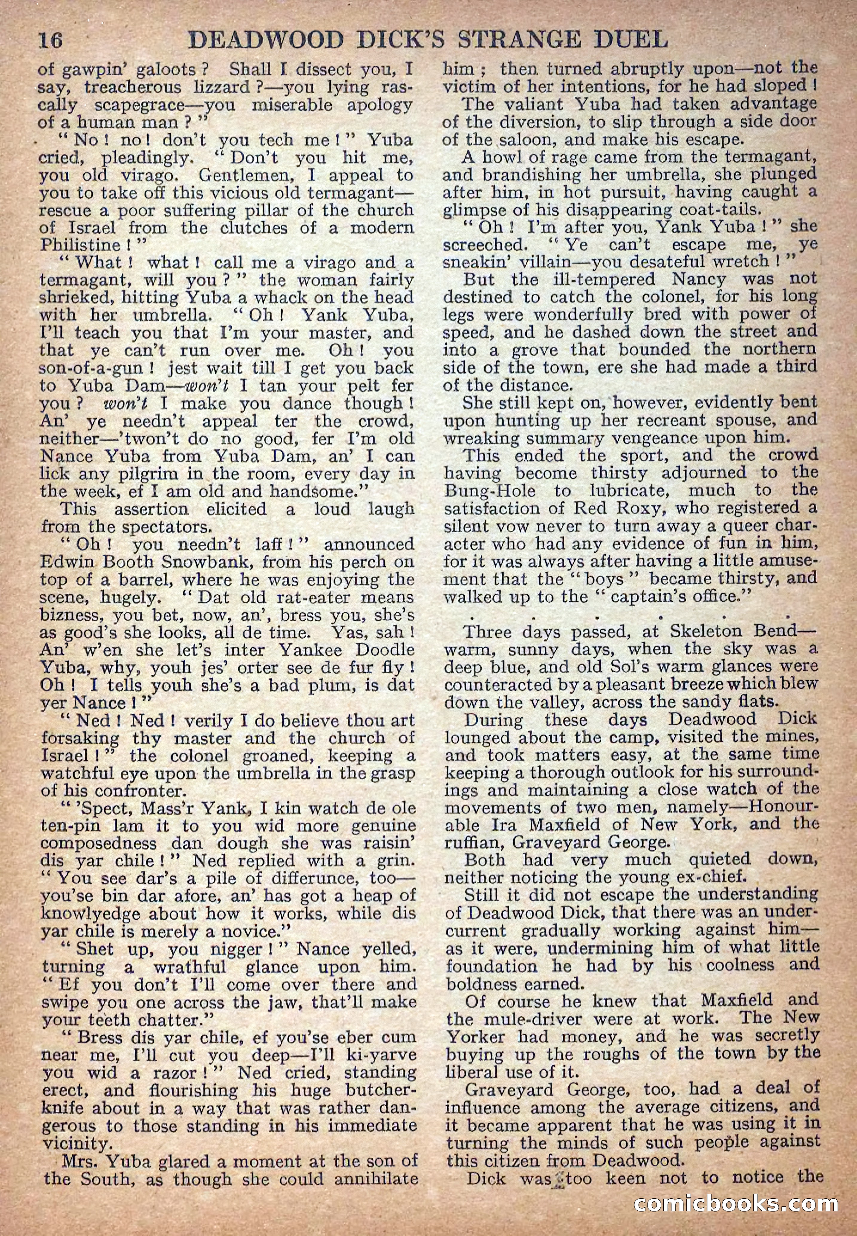 Deadwood Dick Library No. 17 — page 18 of 36