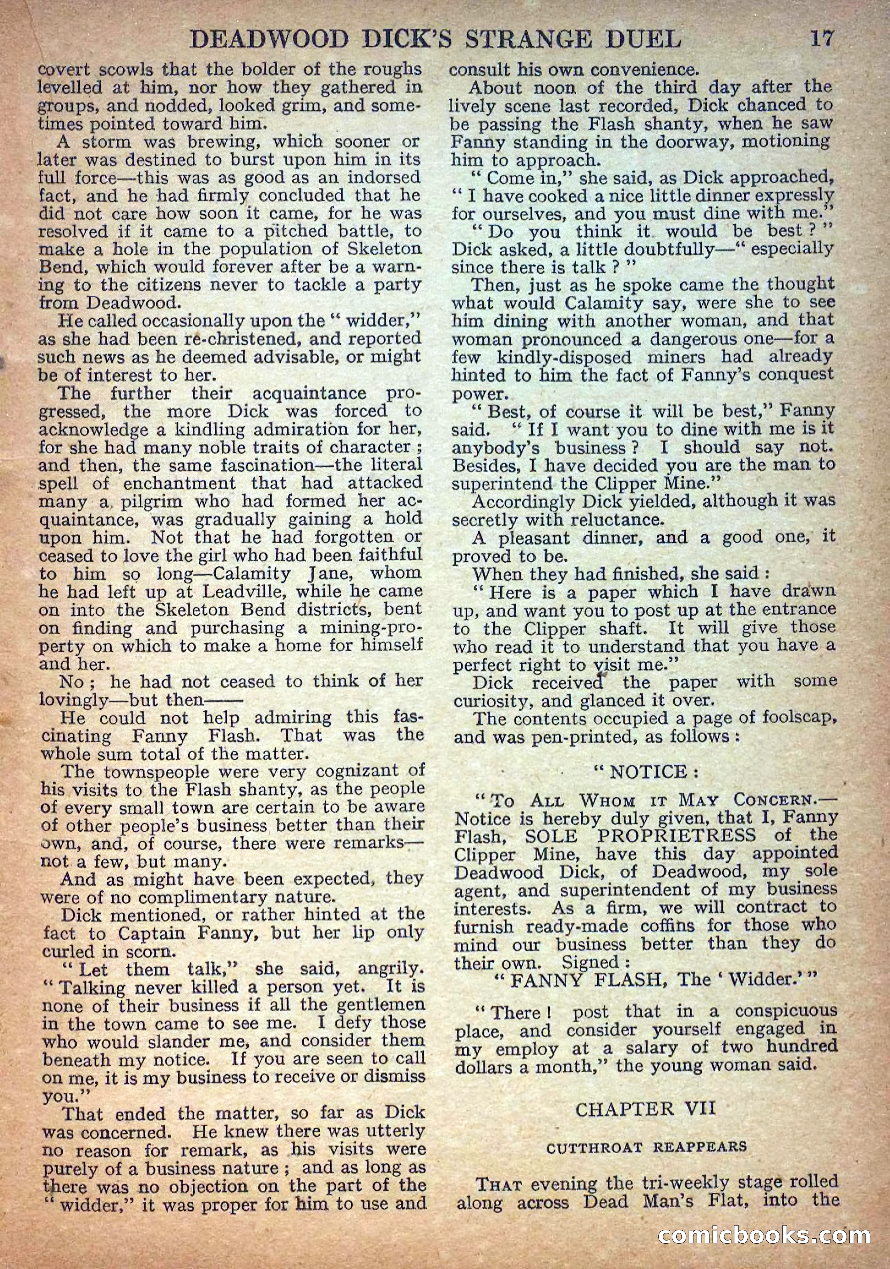 Deadwood Dick Library No. 17 — page 19 of 36