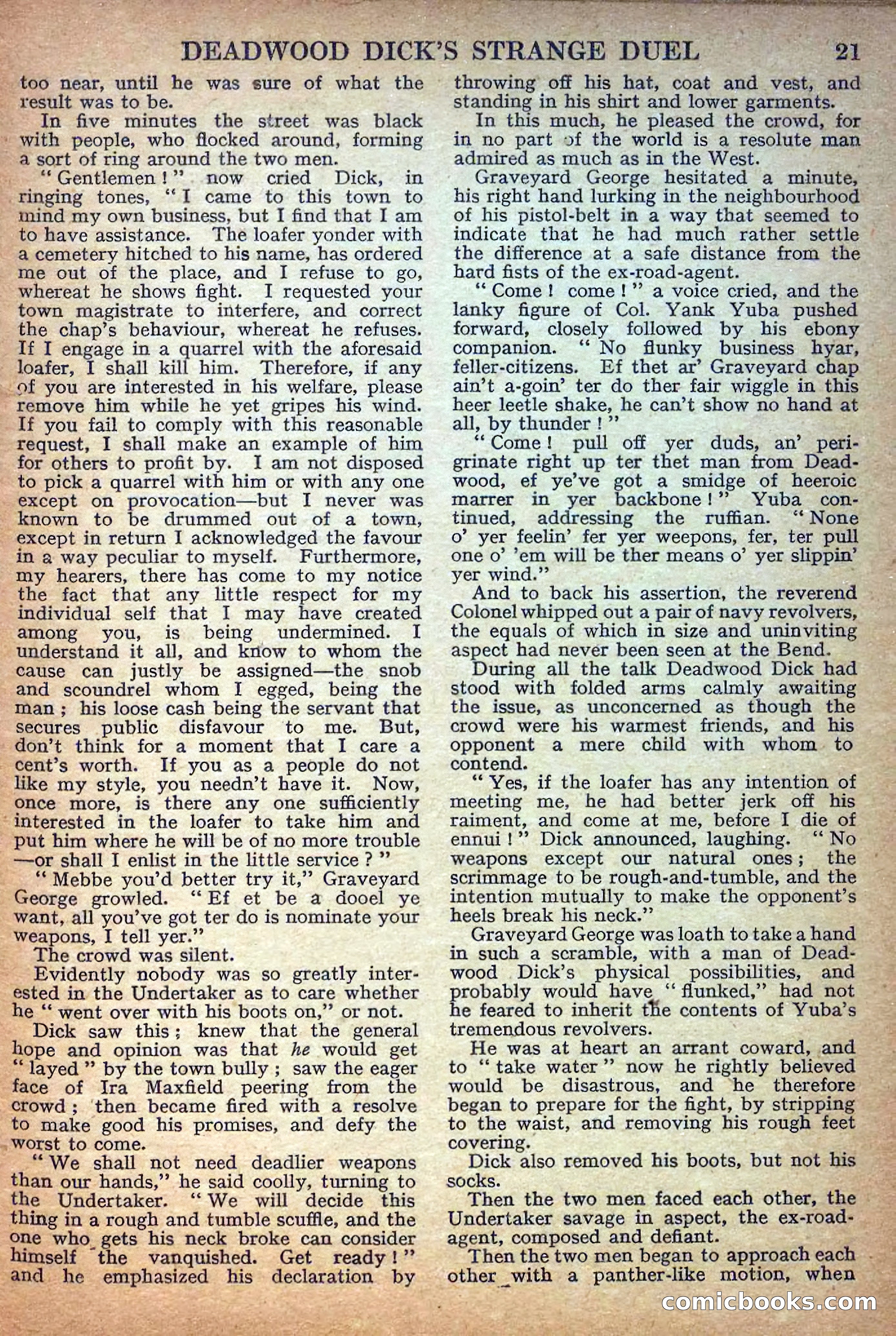 Deadwood Dick Library No. 17 — page 23 of 36