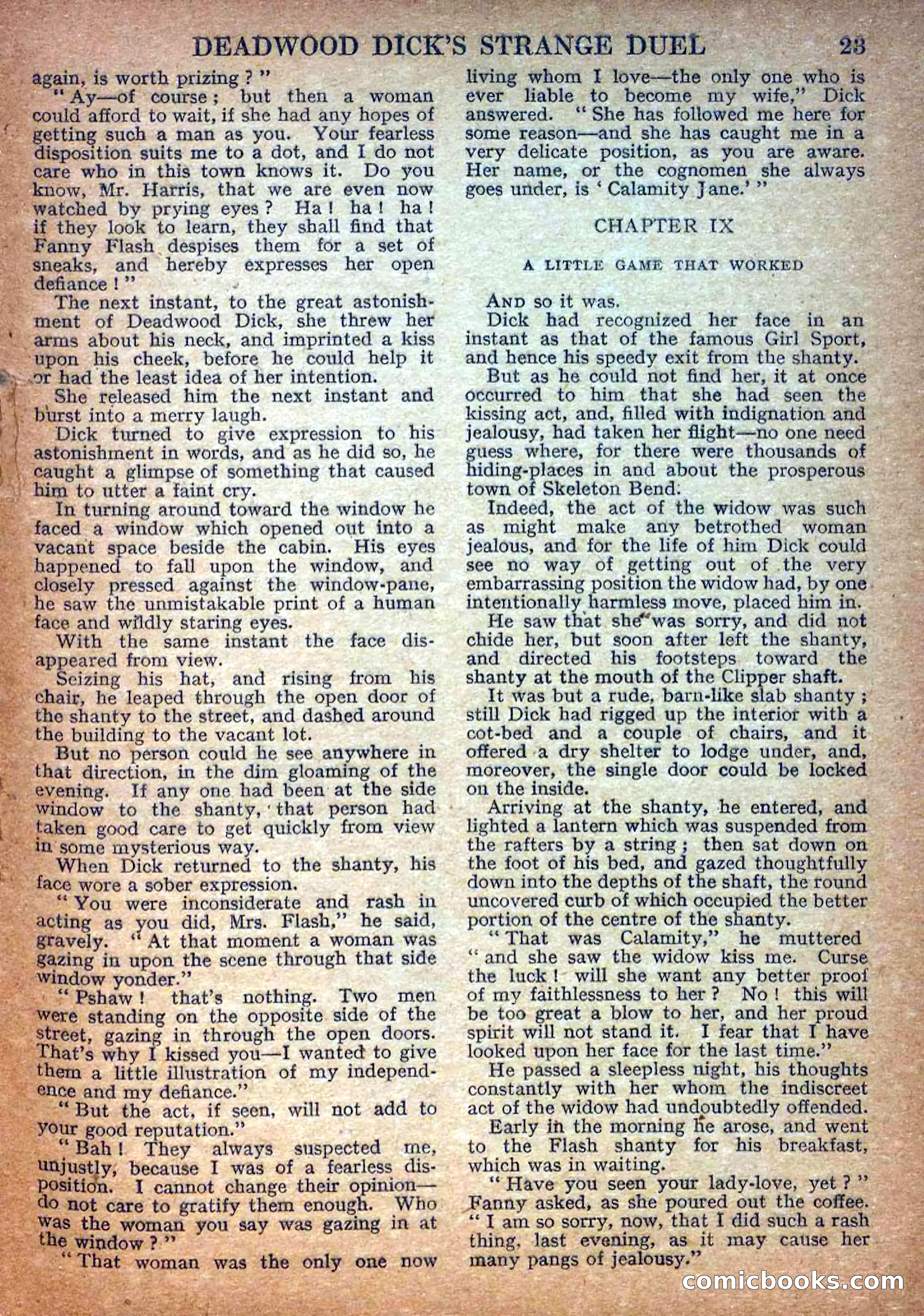 Deadwood Dick Library No. 17 — page 25 of 36