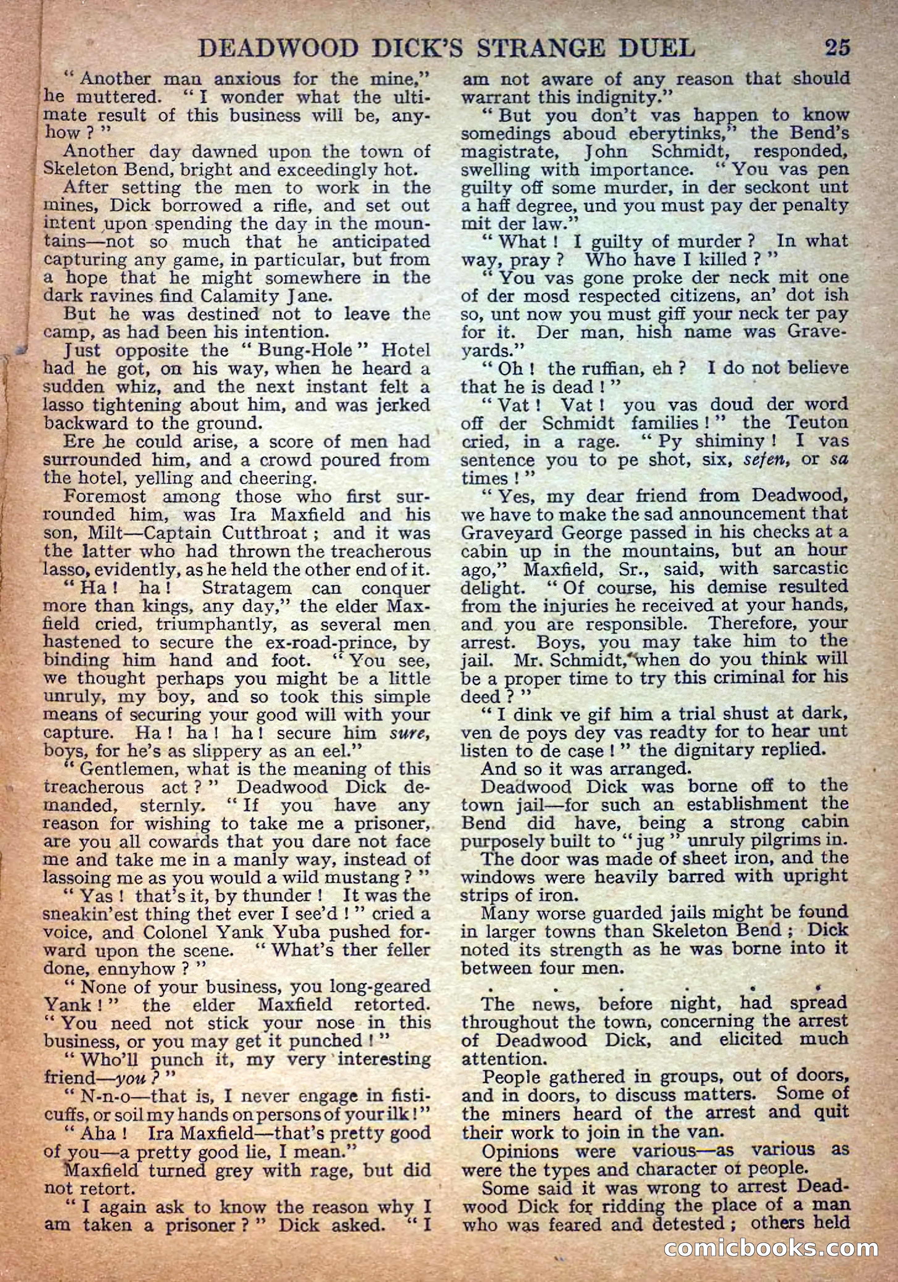 Deadwood Dick Library No. 17 — page 27 of 36
