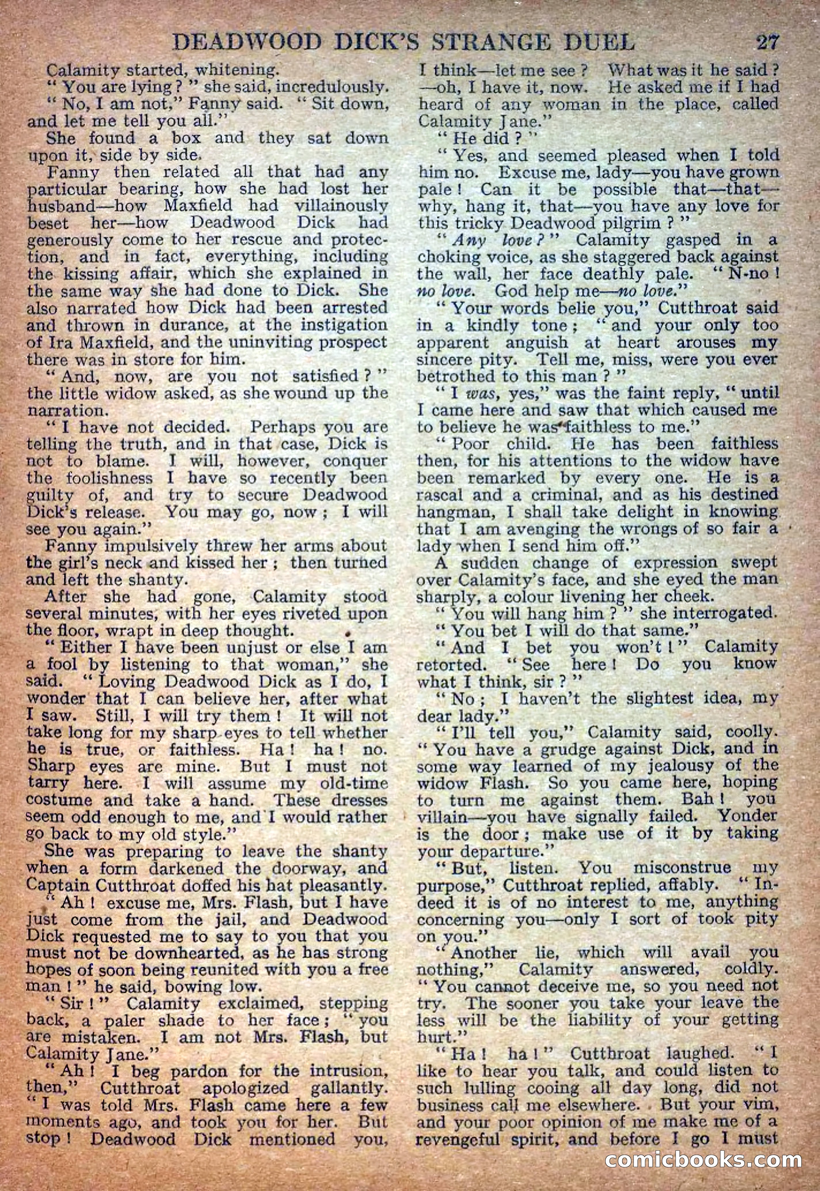 Deadwood Dick Library No. 17 — page 29 of 36