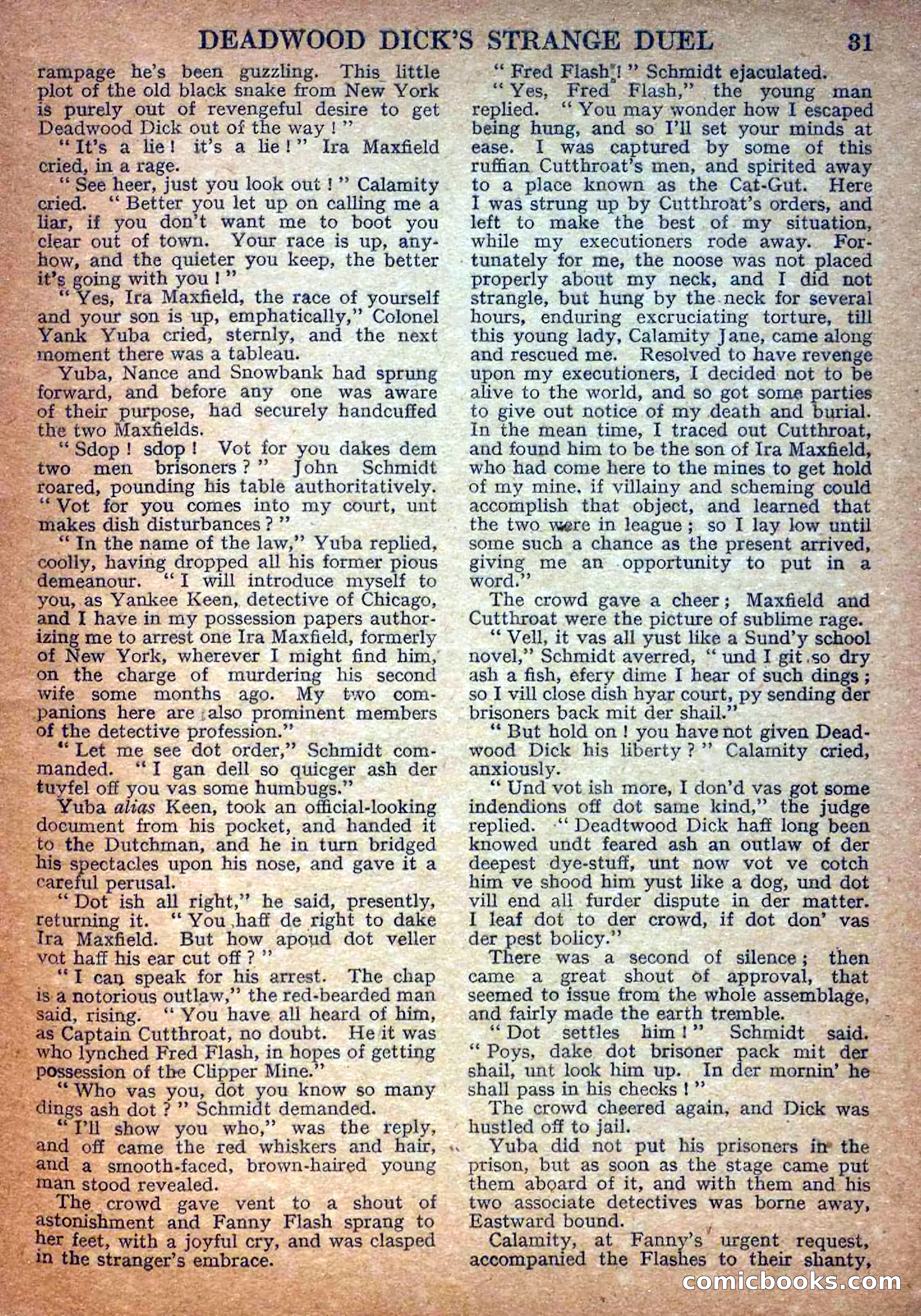 Deadwood Dick Library No. 17 — page 33 of 36