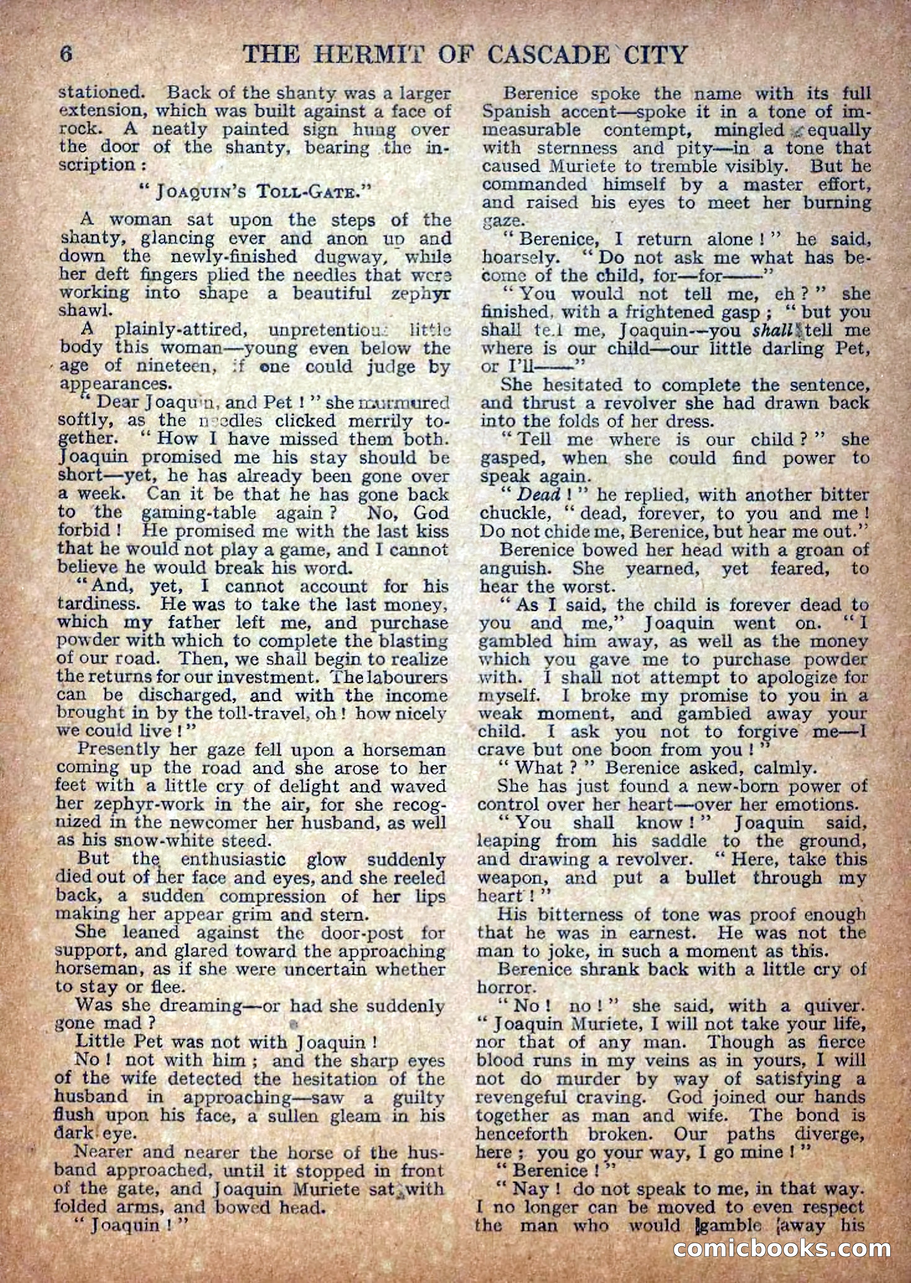 Deadwood Dick Library No. 18: The Hermit of Cascade City — page 8 of 36